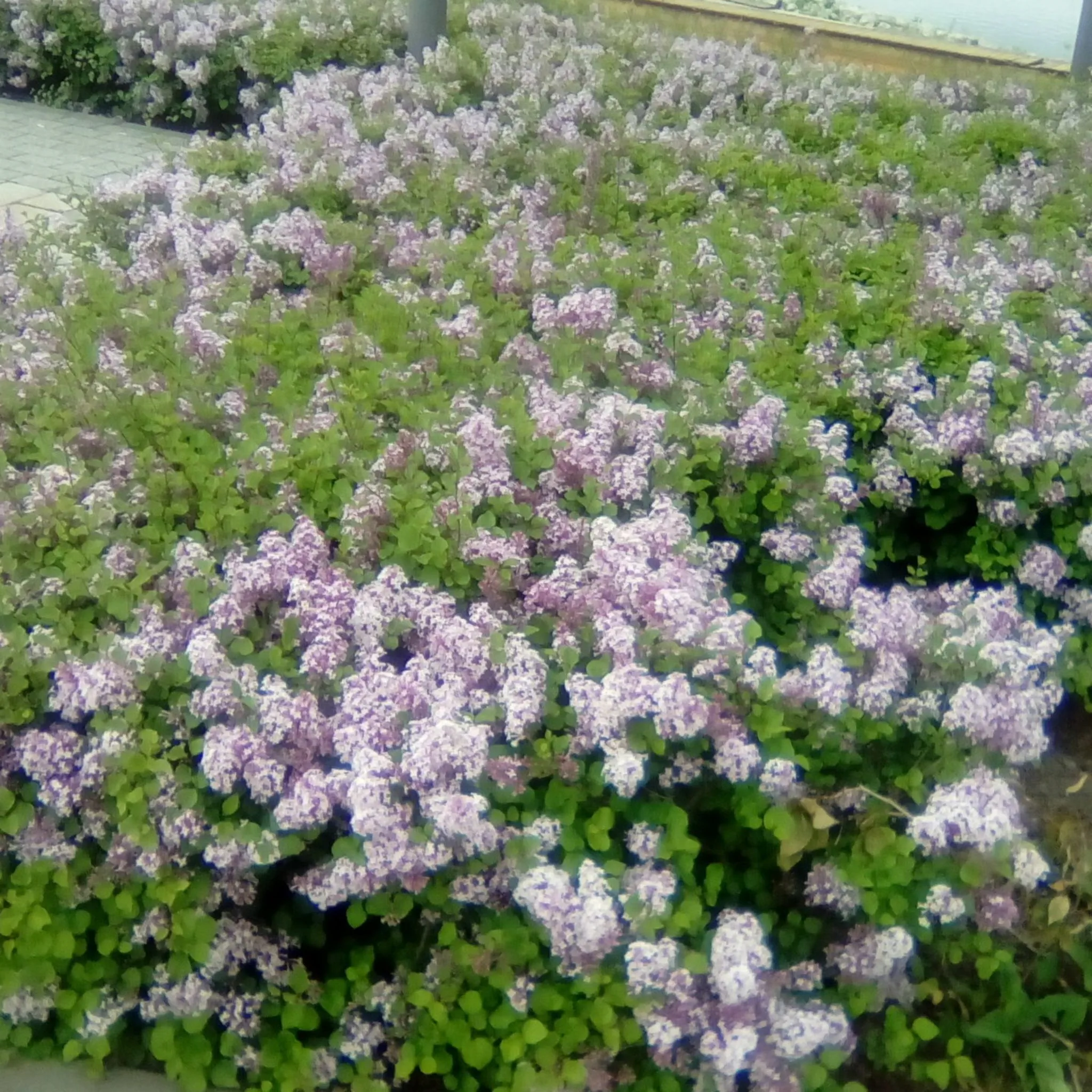 AdiKatiLak Bükfürdő – Bükfürdő, Ungaria
