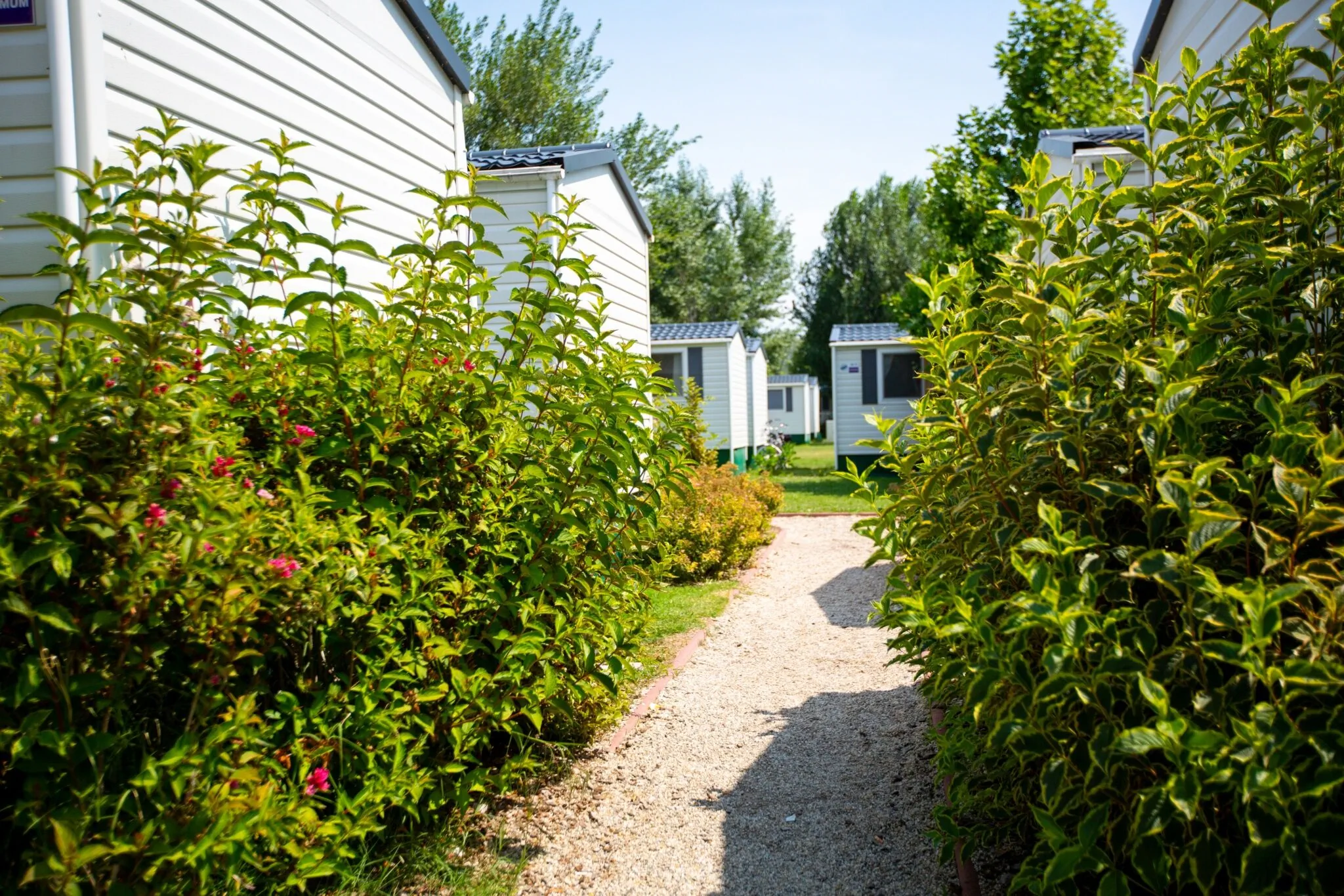 Pelso Camping Alsóörs – Alsóörs, Maďarsko