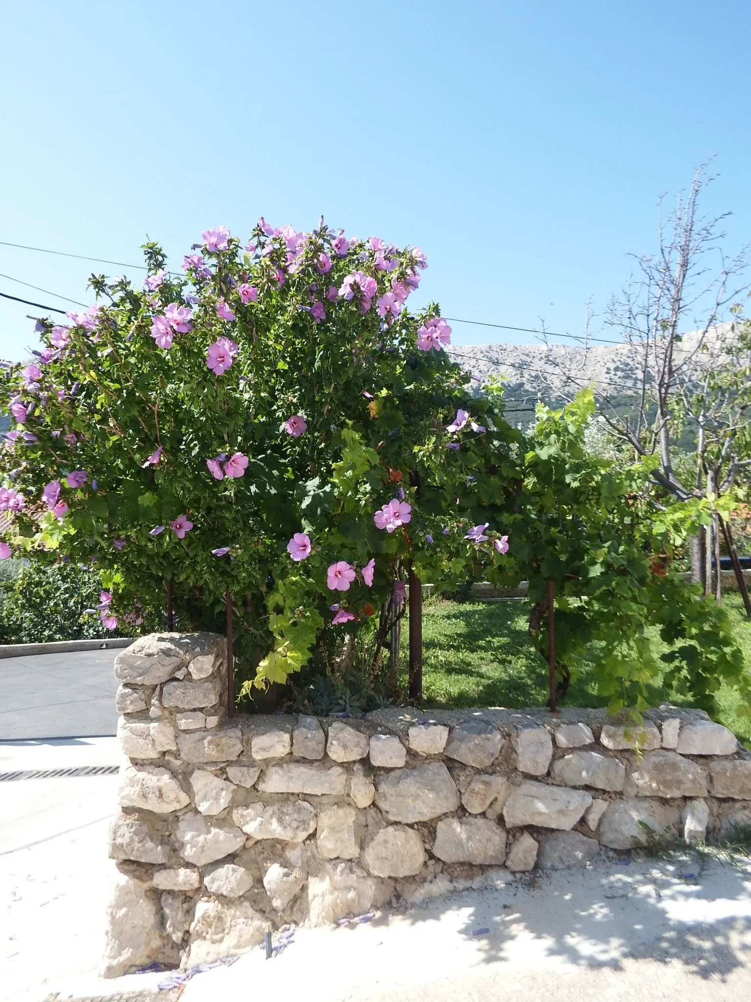 Apartmani Brus Baška – Baška, Chorvatsko