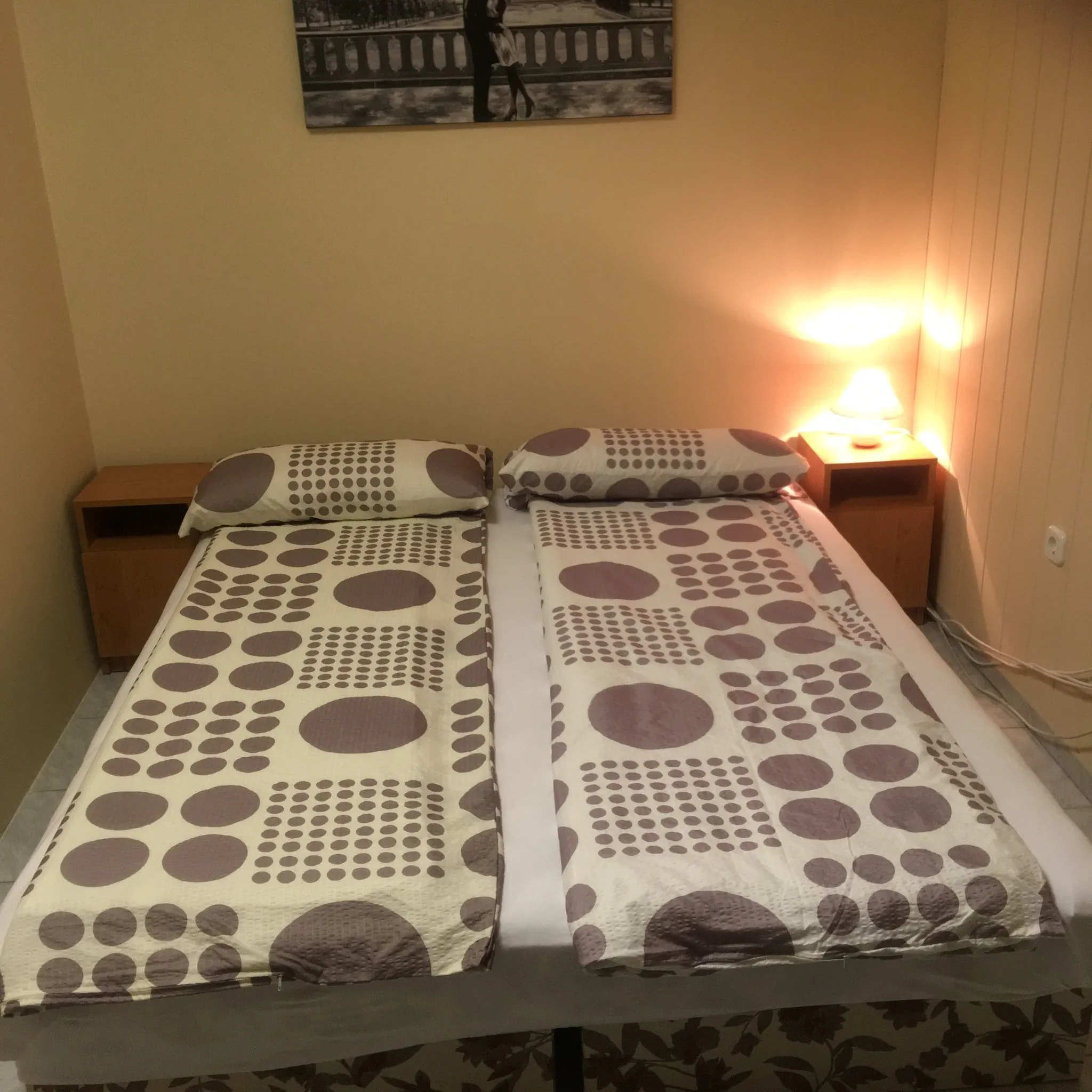 Center Apartman Paks - foto 1