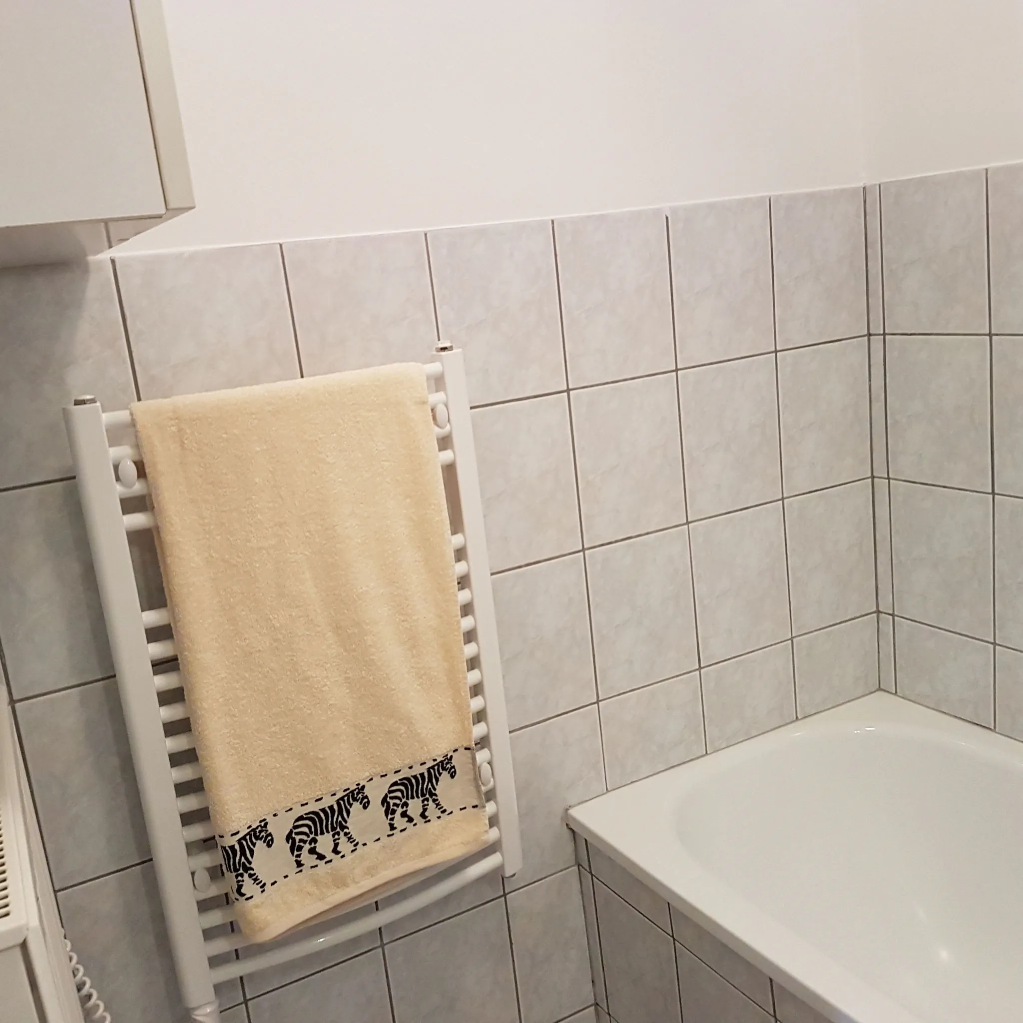 Apartman Kaszás Central Mosonmagyaróvár - foto 8