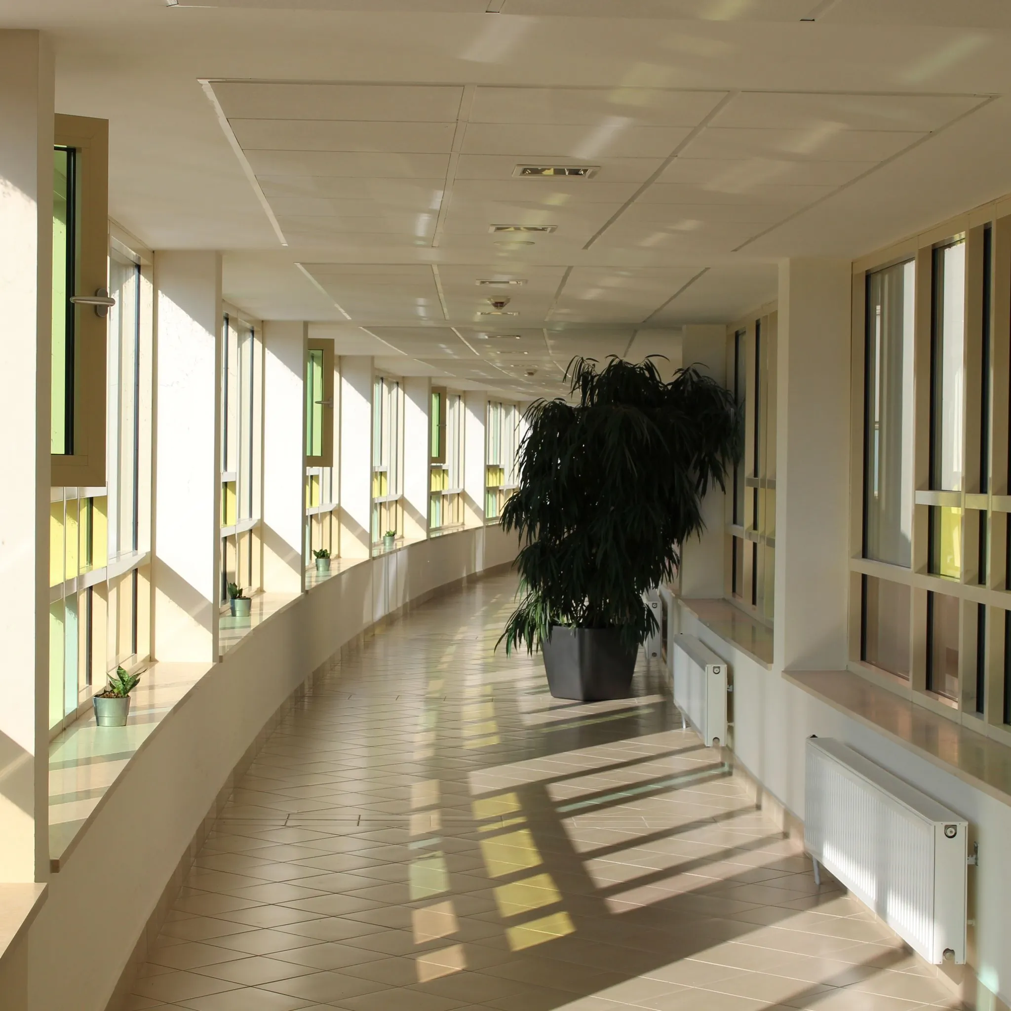 Wellness Apartmanok Velence - foto 5