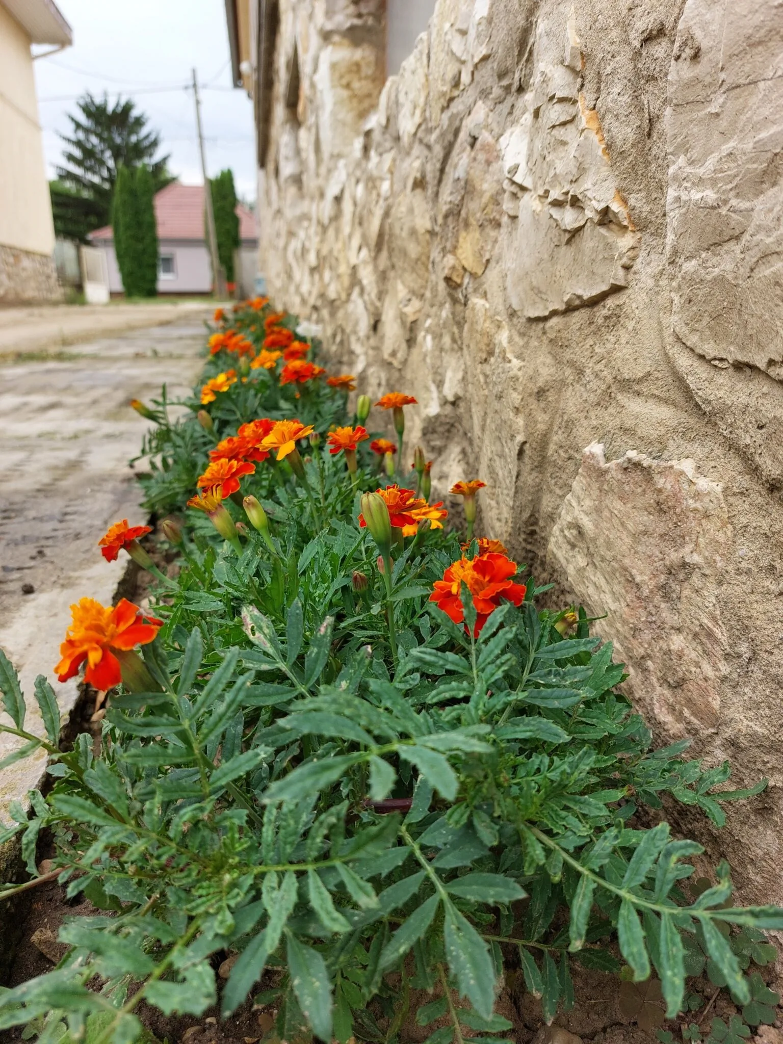 Galagonya Vendégház Bogyoszló – Bogyoszló, Ungaria
