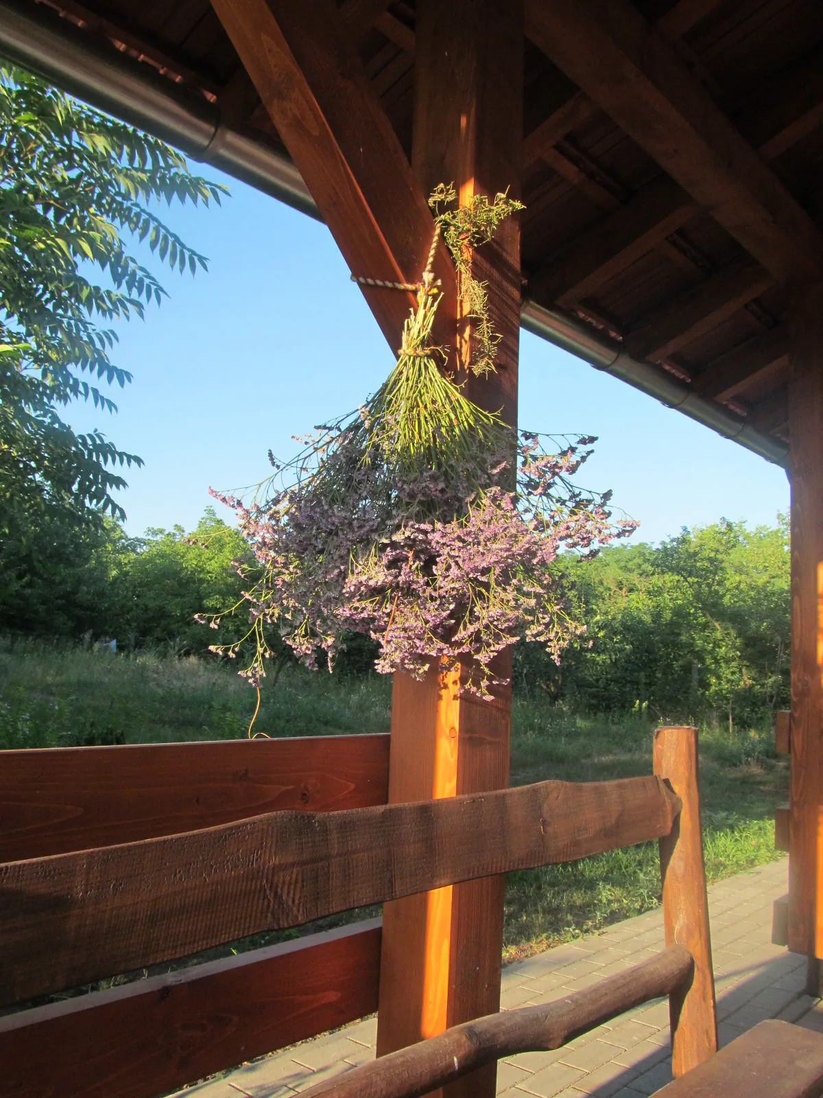 Rigófütty Vendégház Tiszaalpár – Tiszaalpár, Ungaria