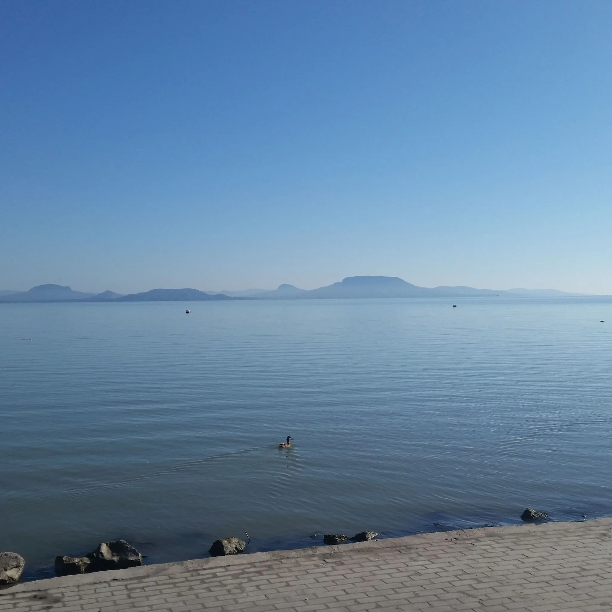 Boglárka és Levente Vízparti Apartmanok Balatonmáriafürdő – Balatonmáriafürdő, Ungaria