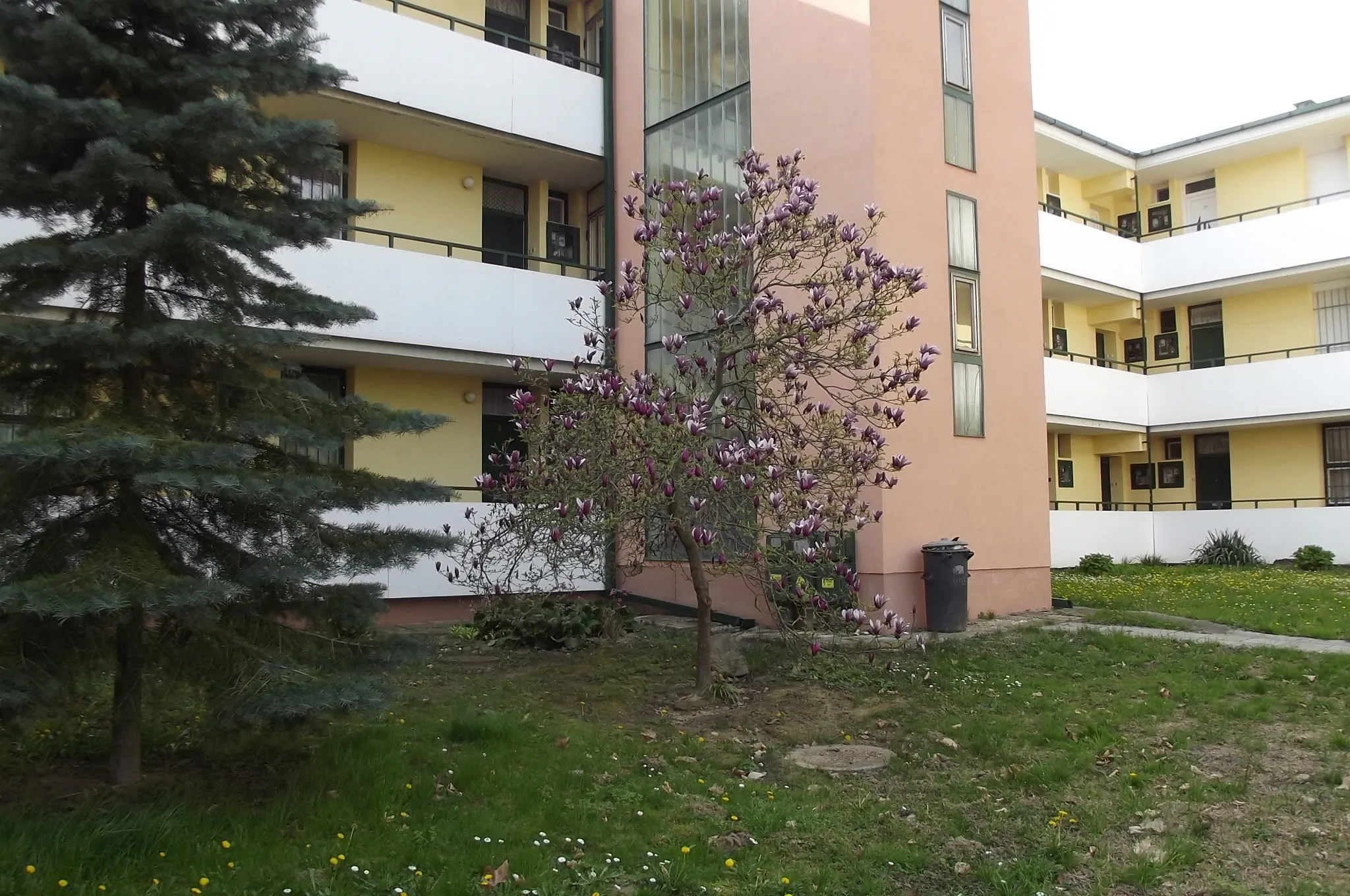Termál Apartman Zalakaros - foto 3