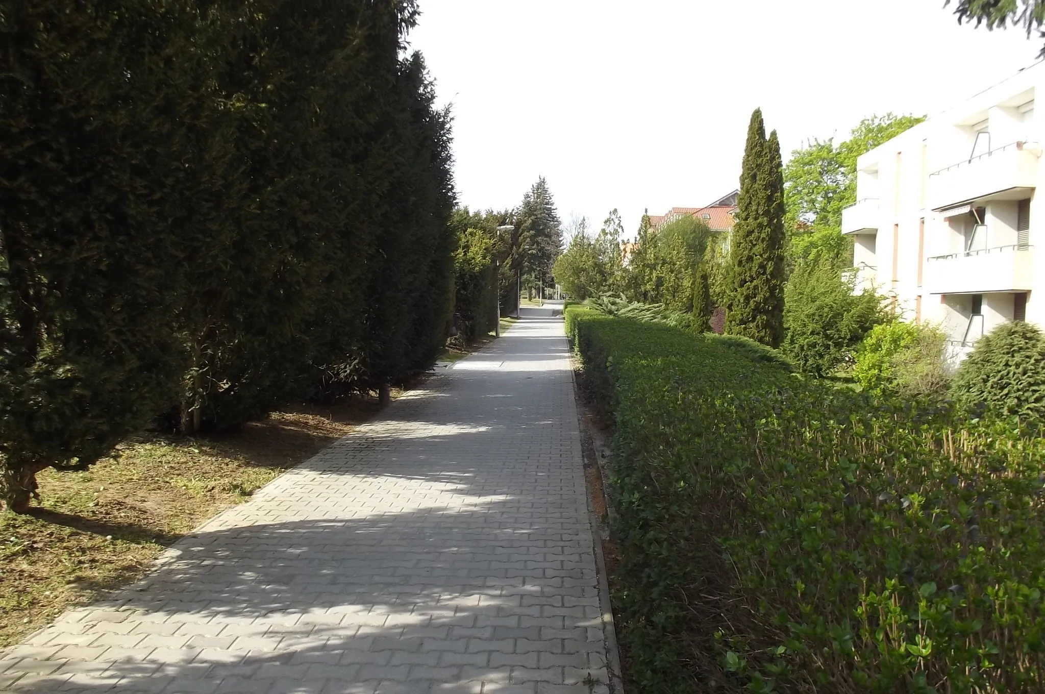 Termál Apartman Zalakaros - foto 4