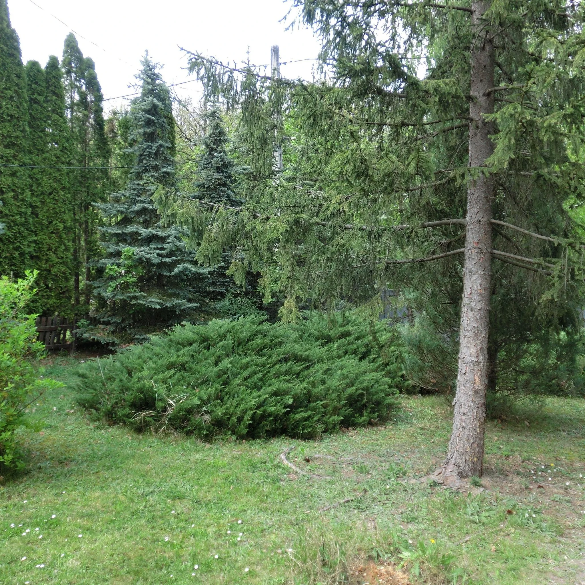 Dunakanyar-Gyöngye Kutyabarát Nyaraló Leányfalu – Leányfalu, Ungaria