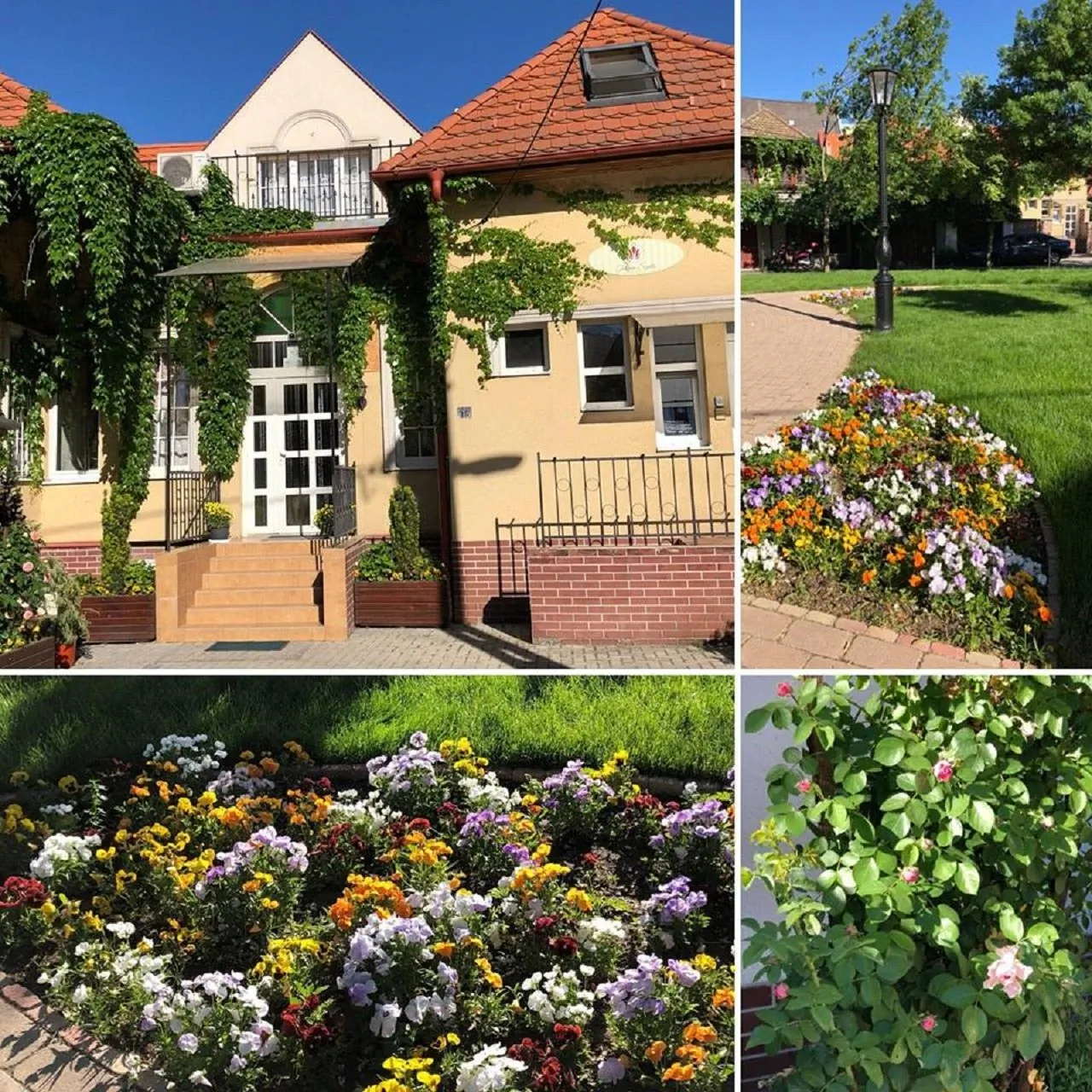 Tulipán Villa Panzió*** Szolnok – Solnoca, Ungaria
