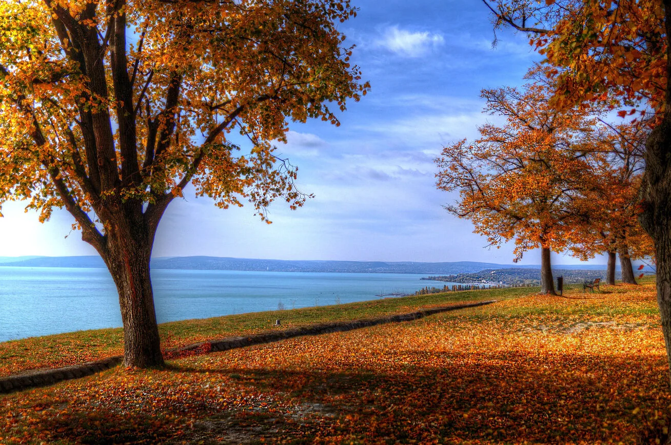 Csalogány Villa Balatonboglár - foto 9