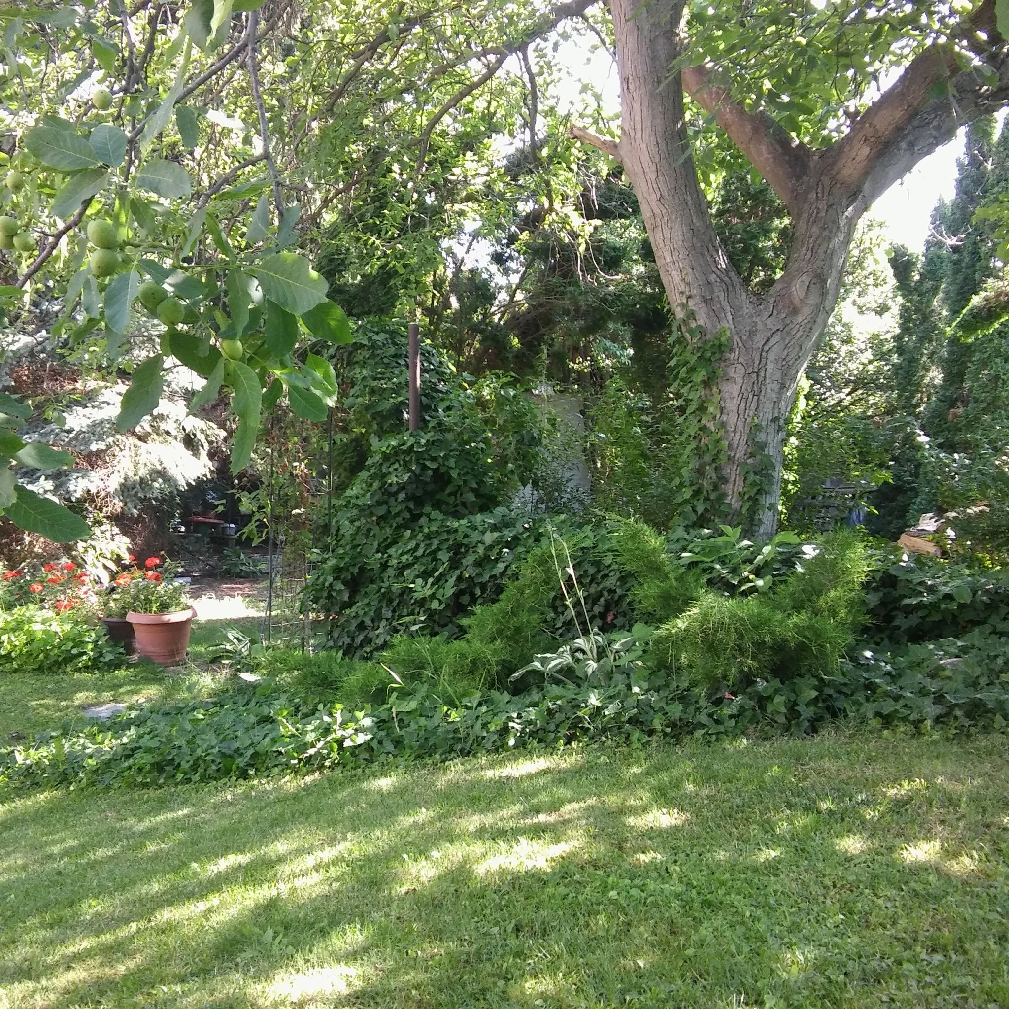 Toszkána Apartman Eger - foto 8