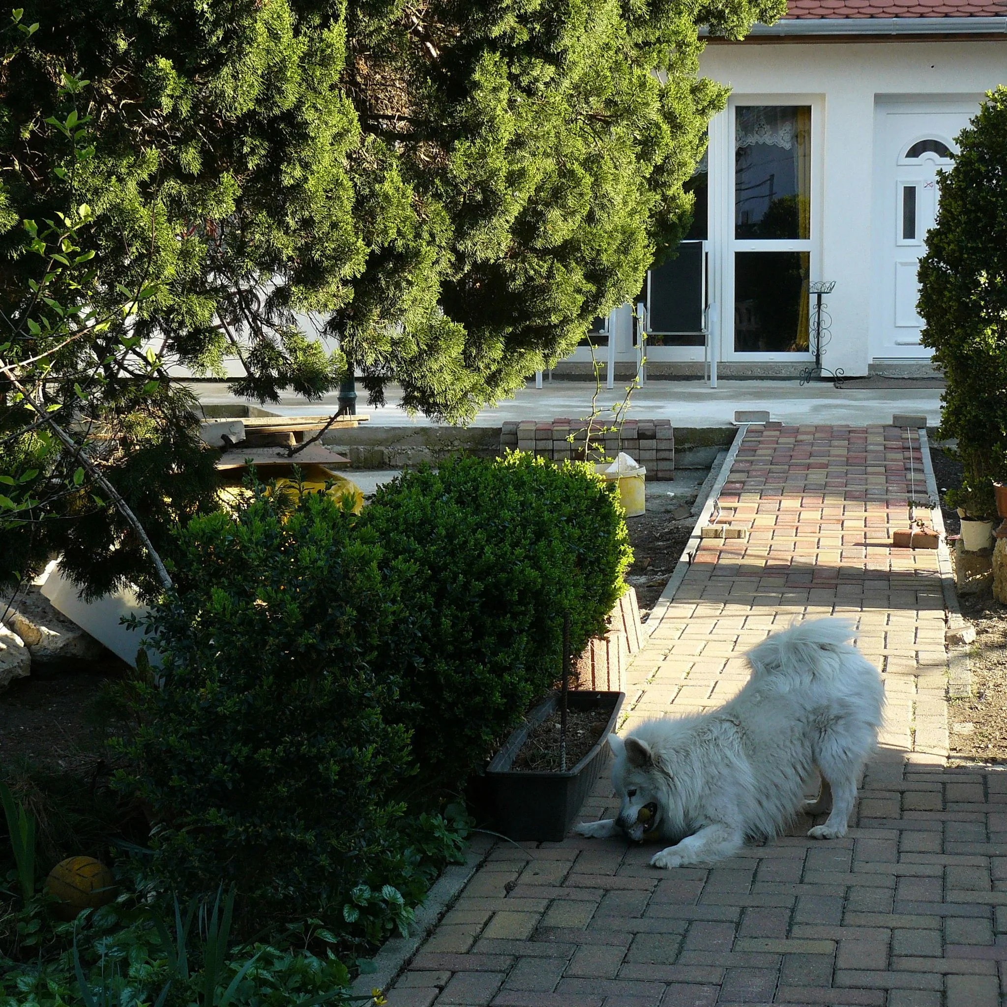 Elizabeth Apartman Tokaj – Tokaj, Ungaria