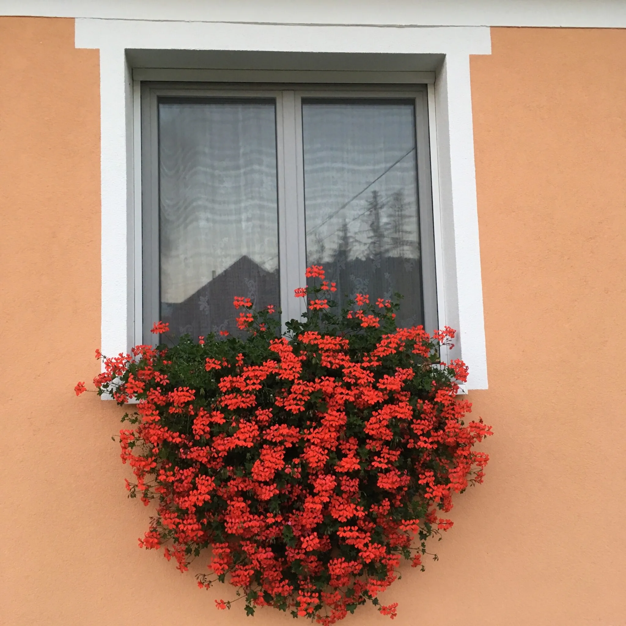 Liliom Vendégház Bakonybél – Bakonybél, Ungaria