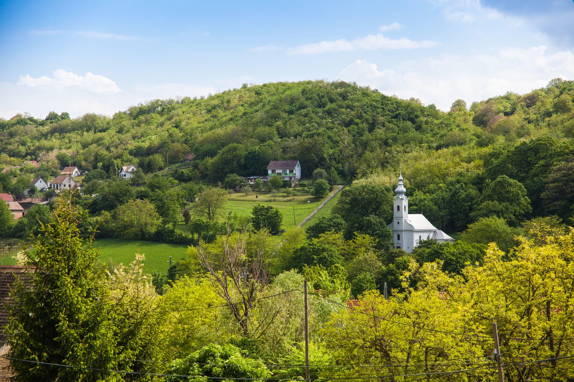 Lótuszvirág Vendégház Szekszárd – Szekszárd, Ungaria