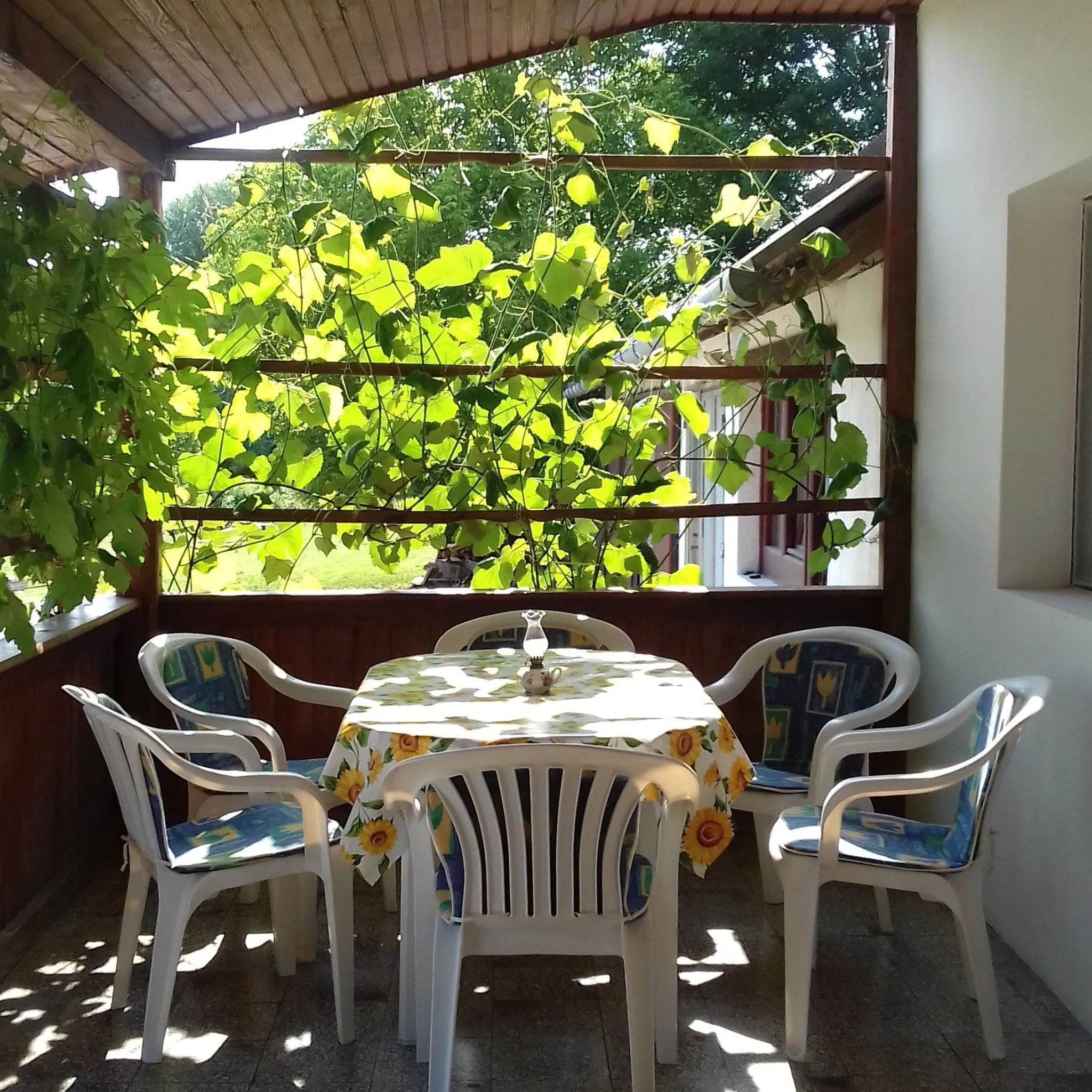 Gyöngyvirág Apartman Kehidakustány - foto 3