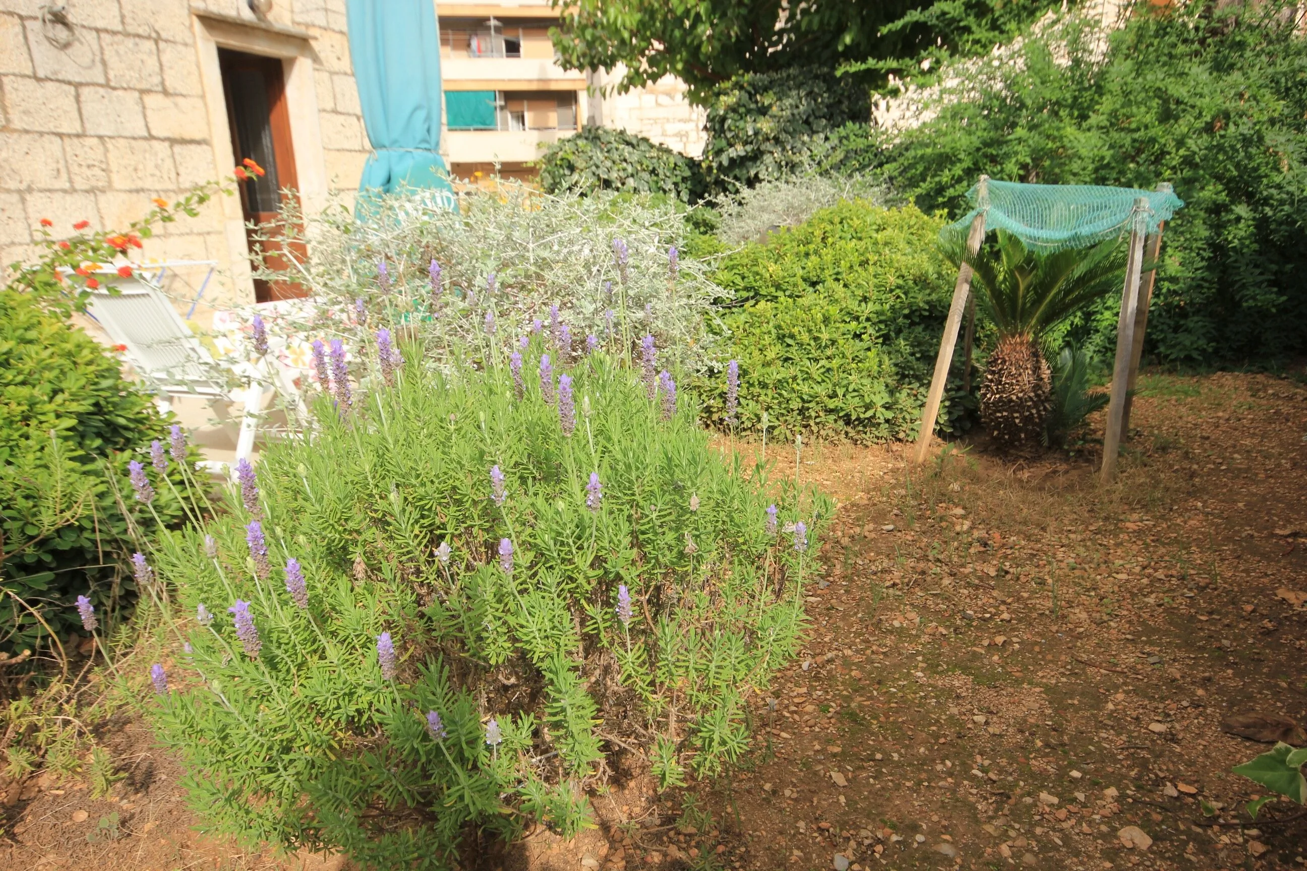 Apartments By The Sea Vis - 1170 – Vis, Croația