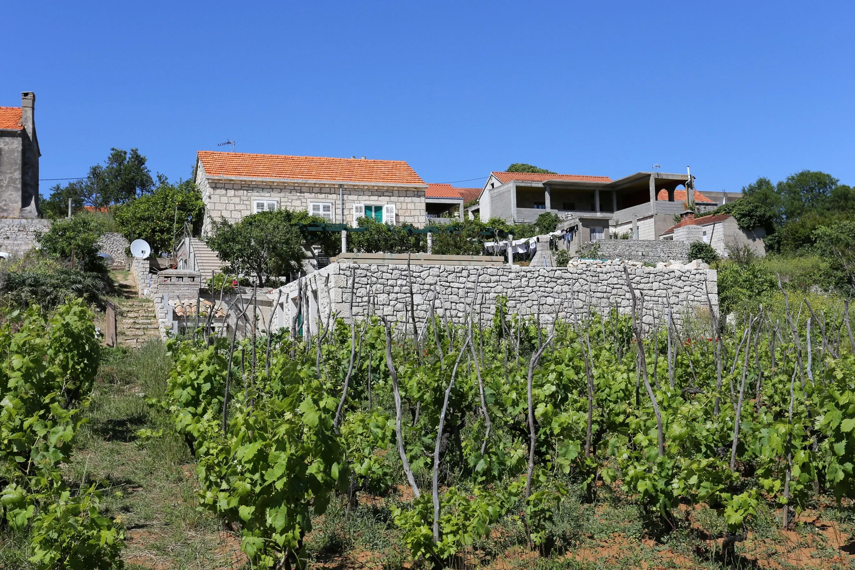 Apartments With Parking Space Lumbarda, Korčula - 4429 Lumbarda – Lumbarda, Croația