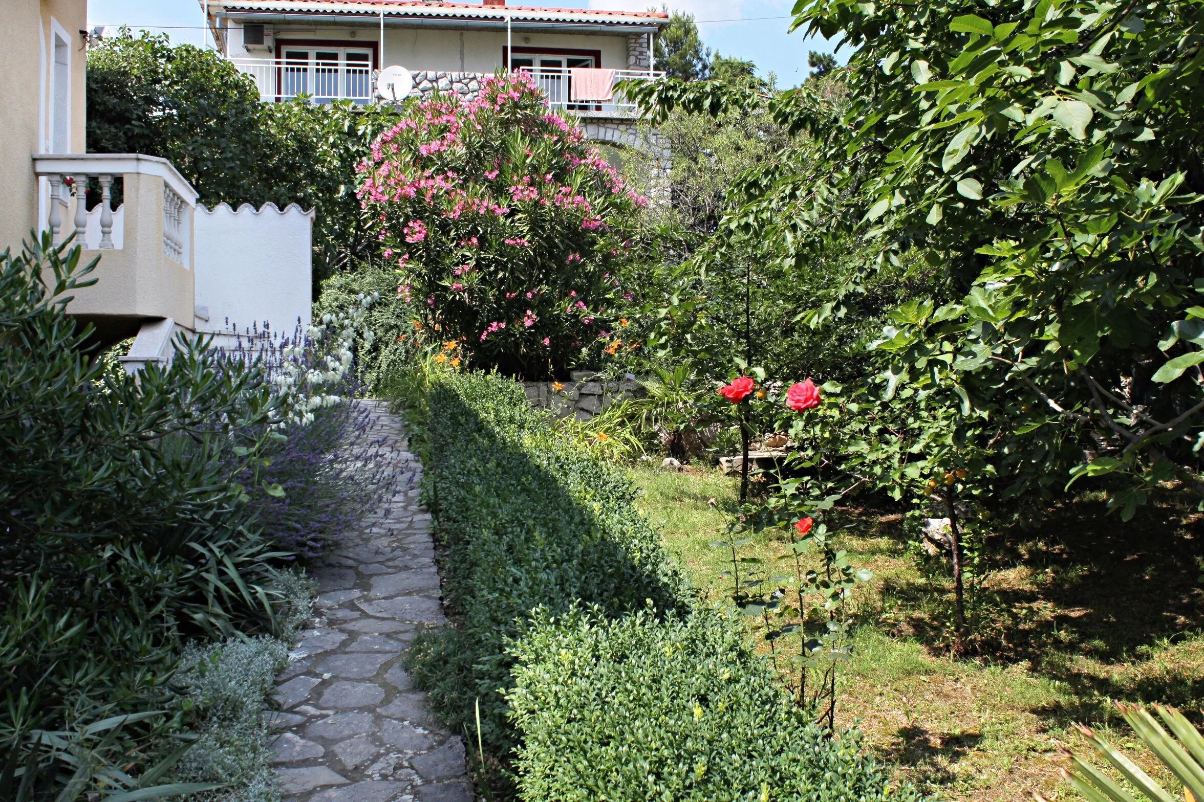 Apartments By The Sea Novi Vinodolski - 9669 - foto 6