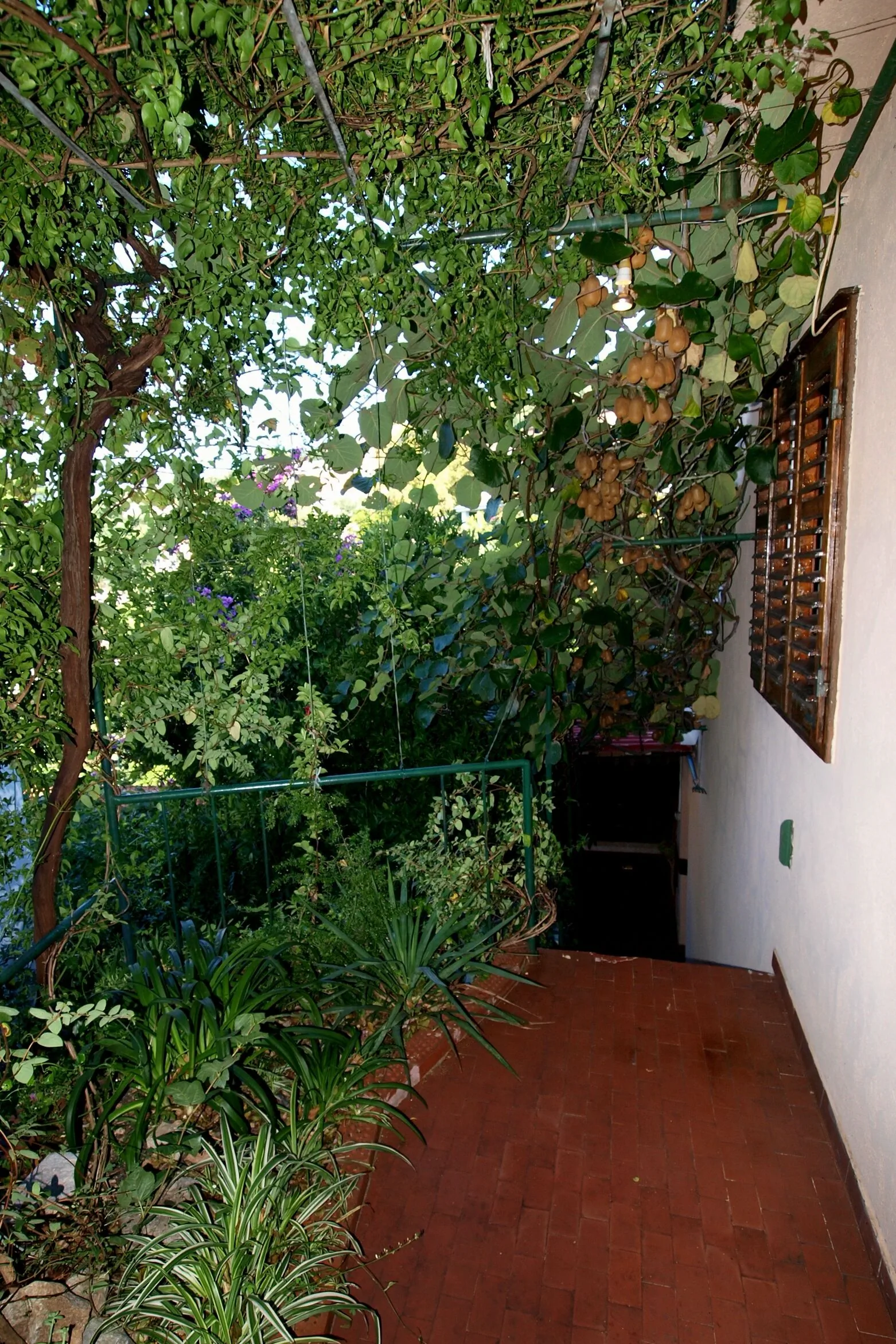 Seaside Holiday House Podgora, Makarska - 4331 Podgora – Podgora, Croația