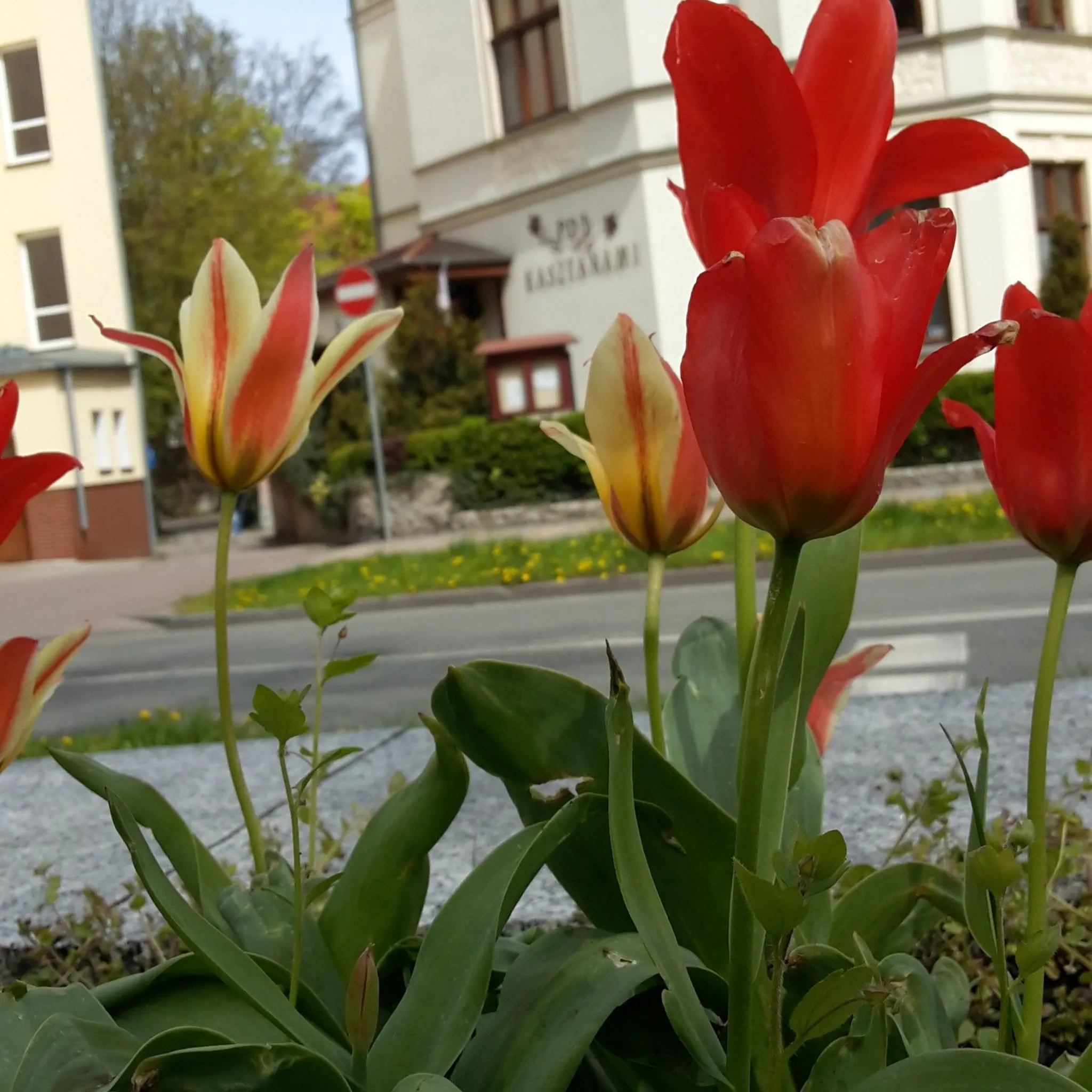 Kamienica Pod Kasztanami Świnoujście – Świnoujście, Polska