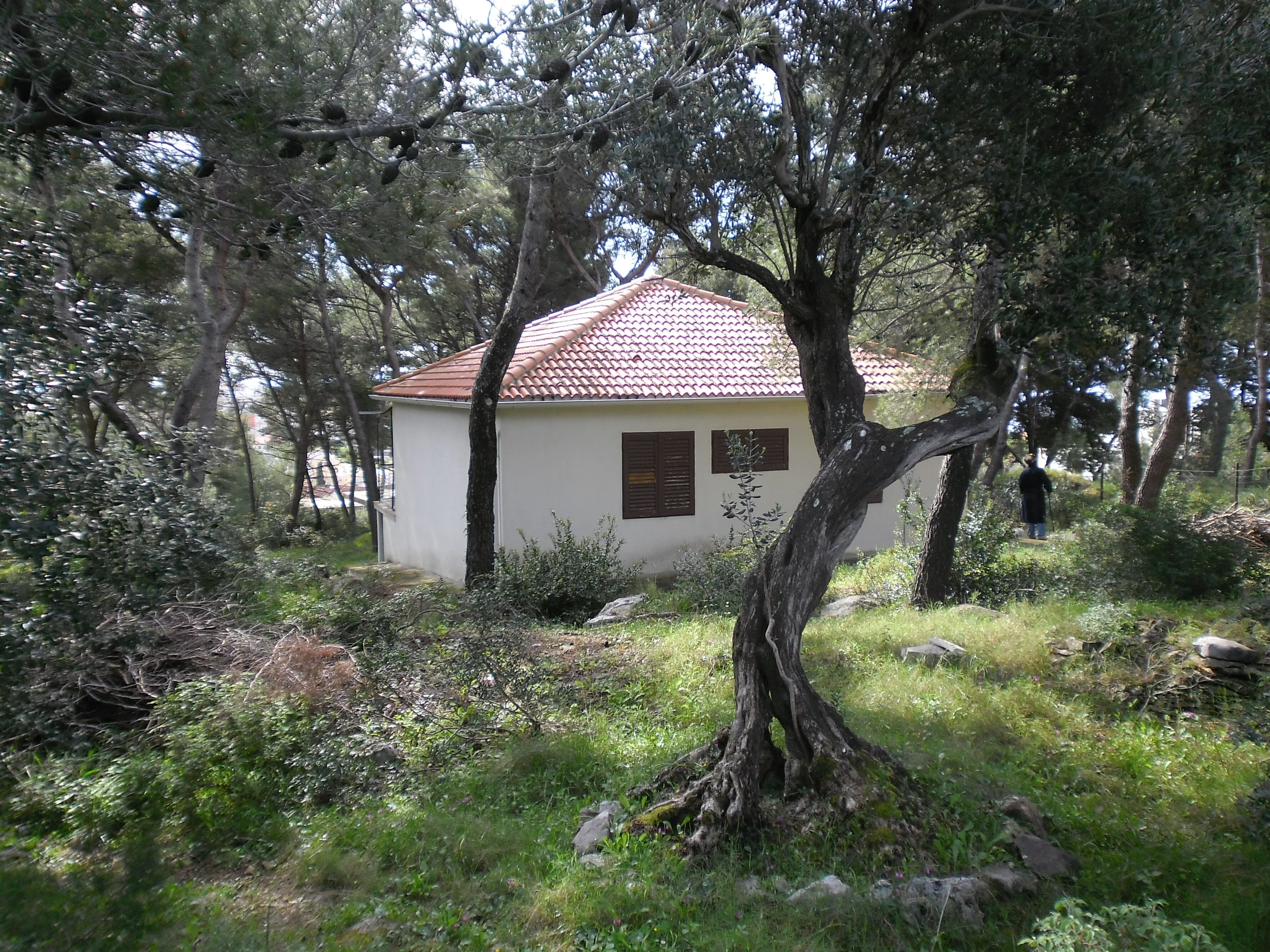 Holiday House With A Parking Space Sumartin, Brač - 12047 Sumartin - foto 3