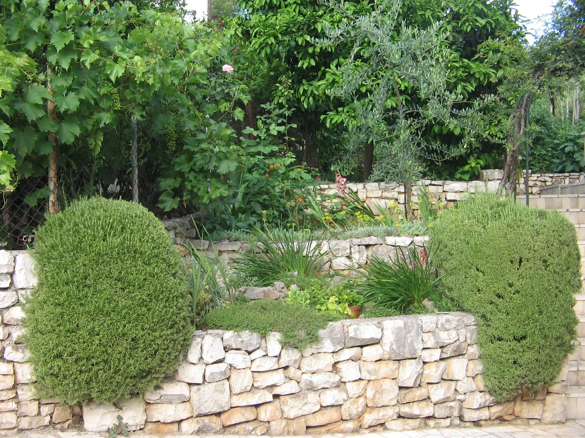 Apartments With Parking Space Trogir - 11316 - foto 4