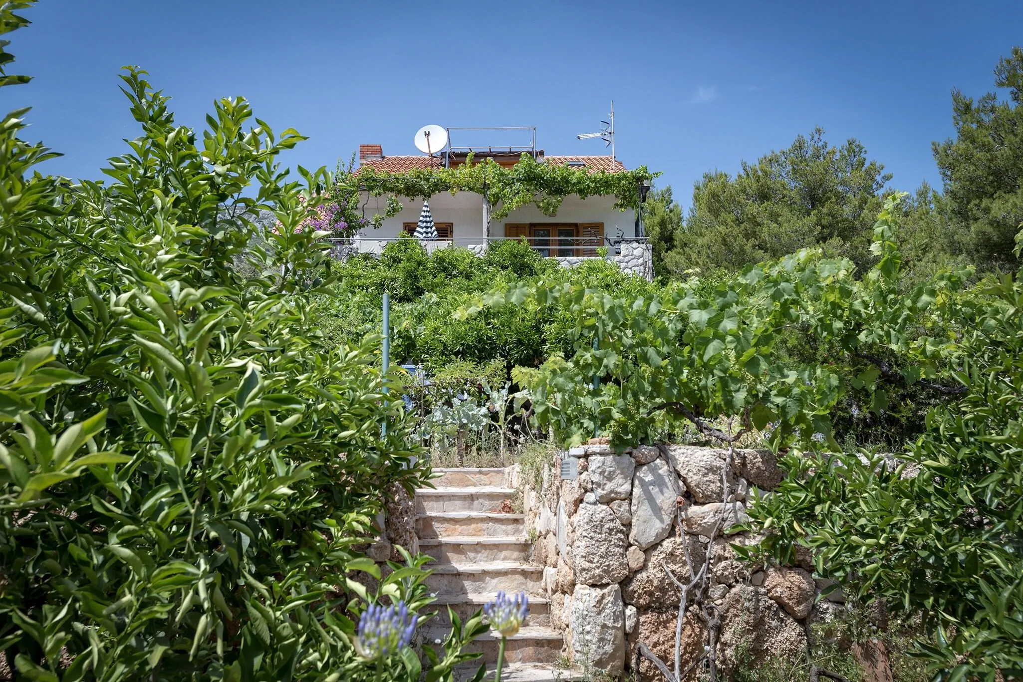 Apartments By The Sea Zavala, Hvar - 2061 Zavala - foto 6