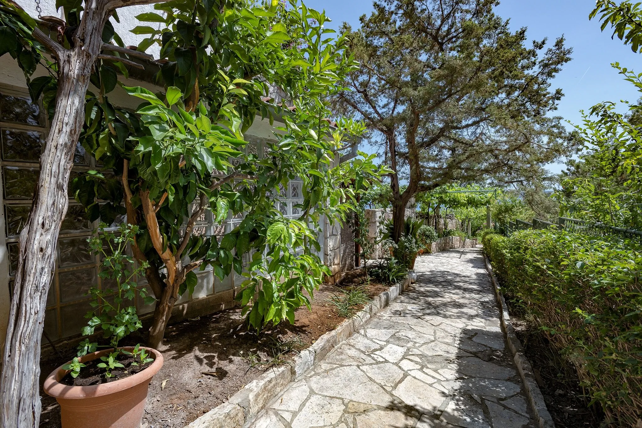 Apartments By The Sea Zavala, Hvar - 2061 Zavala - foto 9