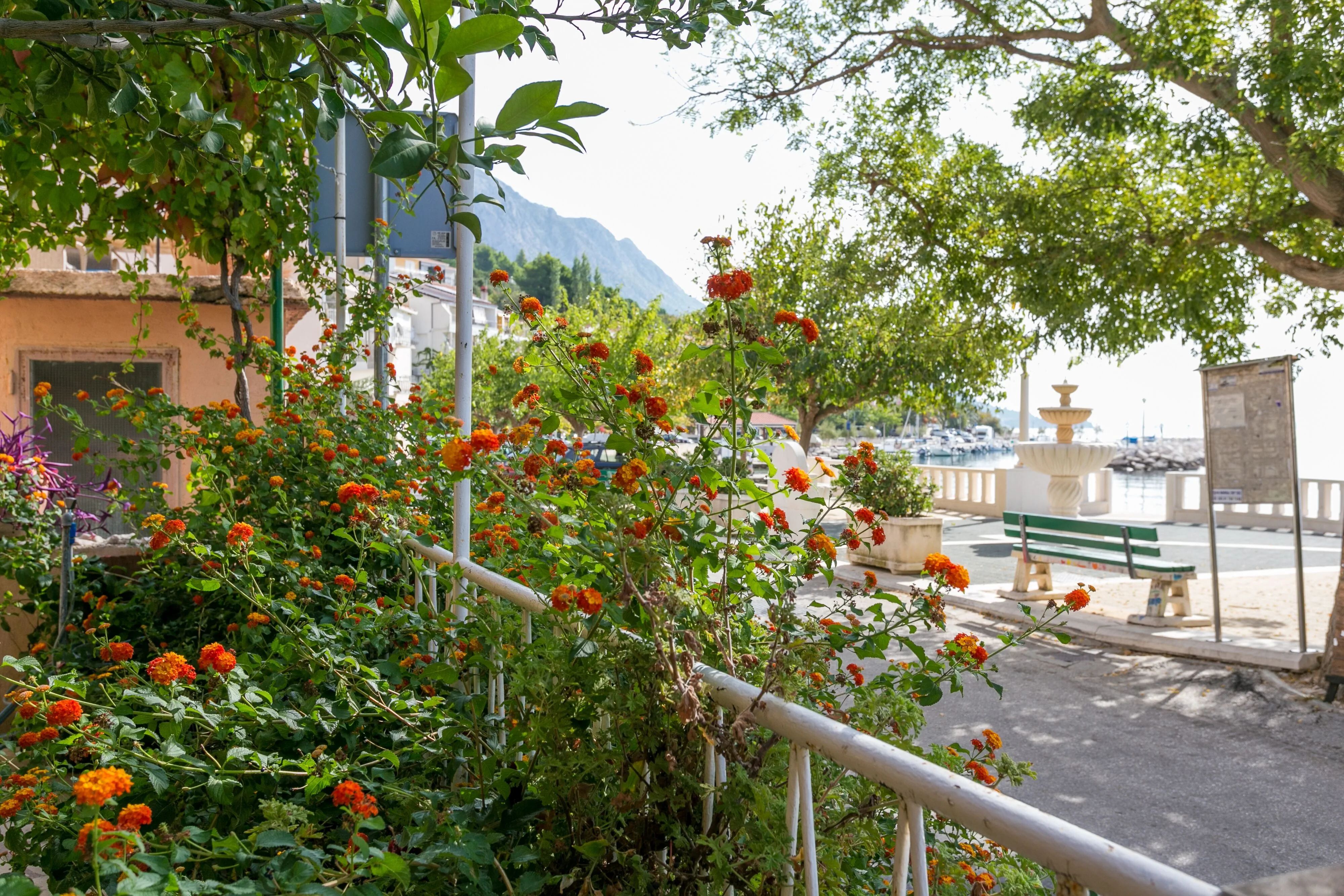Apartments By The Sea Podgora, Makarska - 6846 Podgora - foto 7