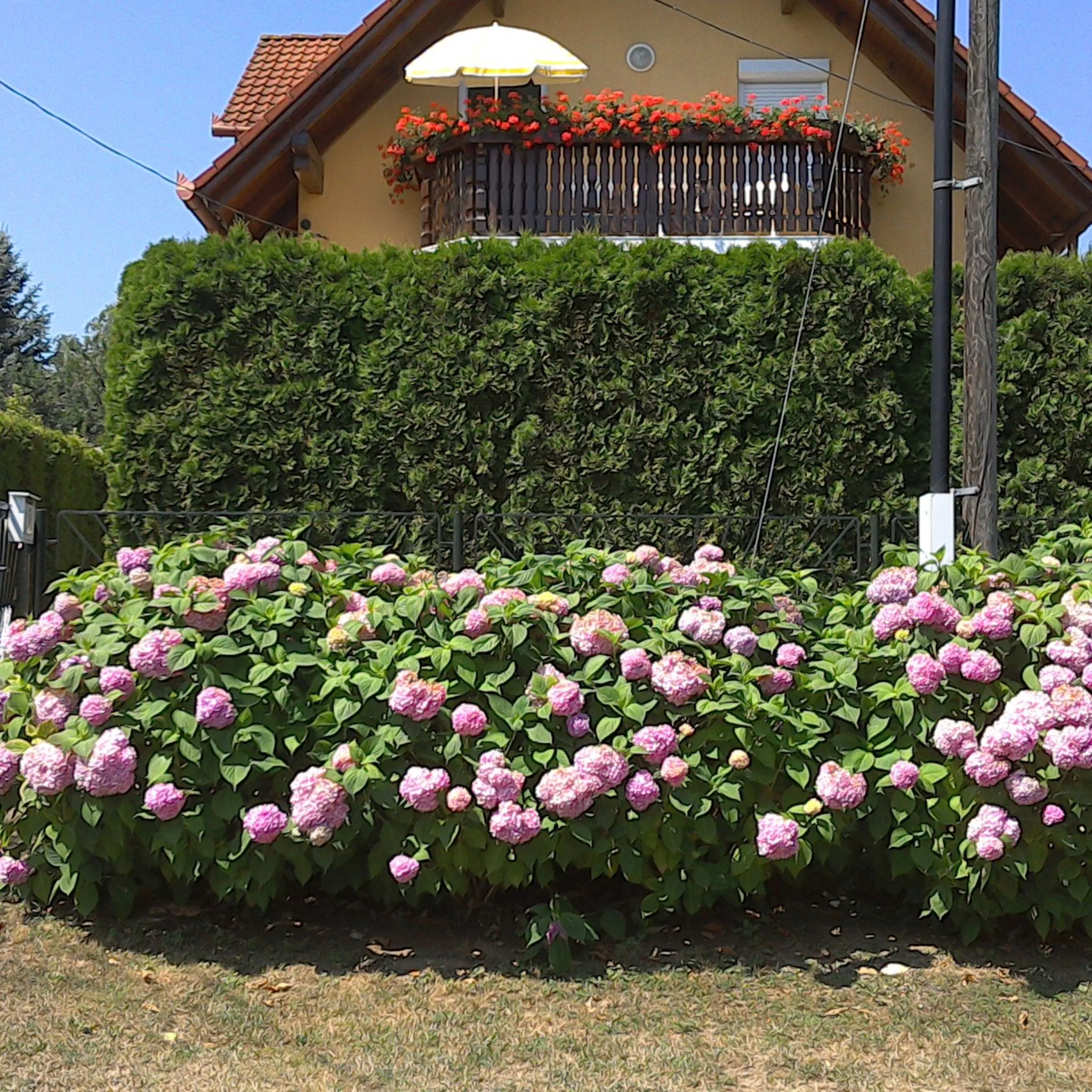 Akácfa Hortenzia Apartman Zalakaros – Zalakaros, Węgry
