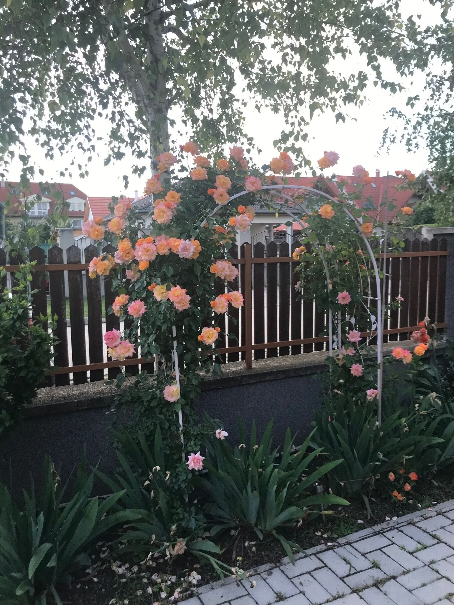Magnólia Apartmanház Balatonfüred – Balatonfüred, Ungaria
