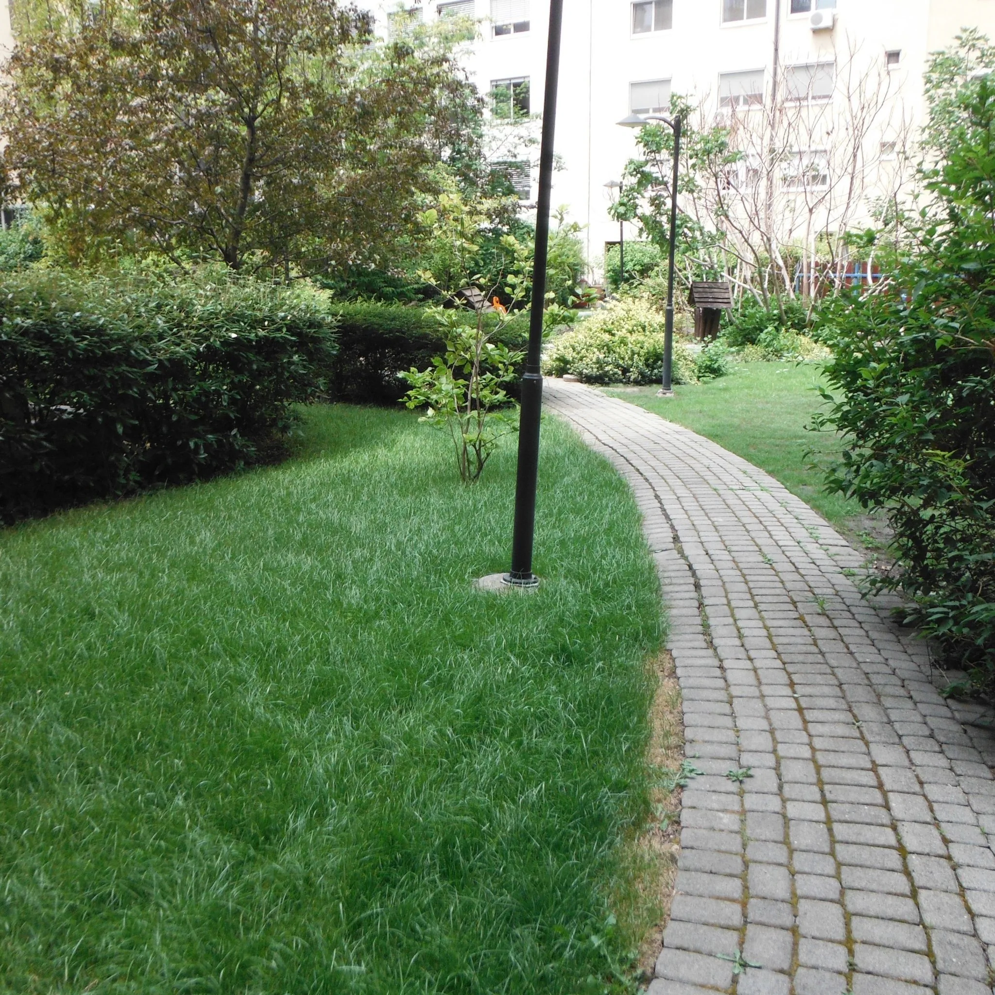 Csongor Apartman Budapest – Budapesta, Ungaria