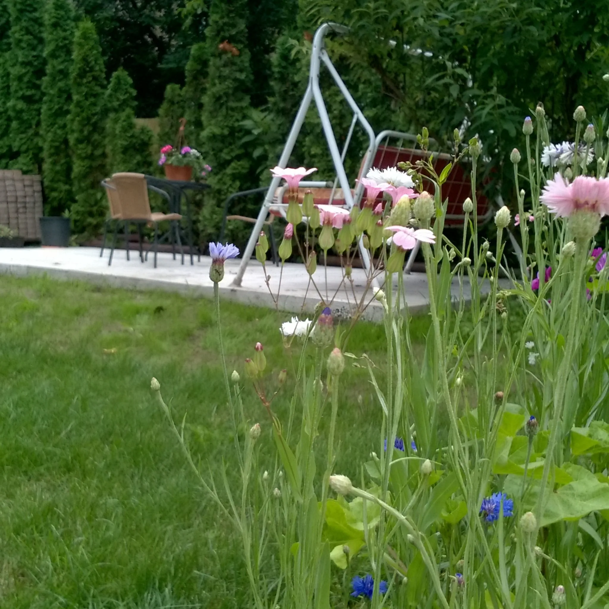 Zoé Apartman Siófok - foto 6