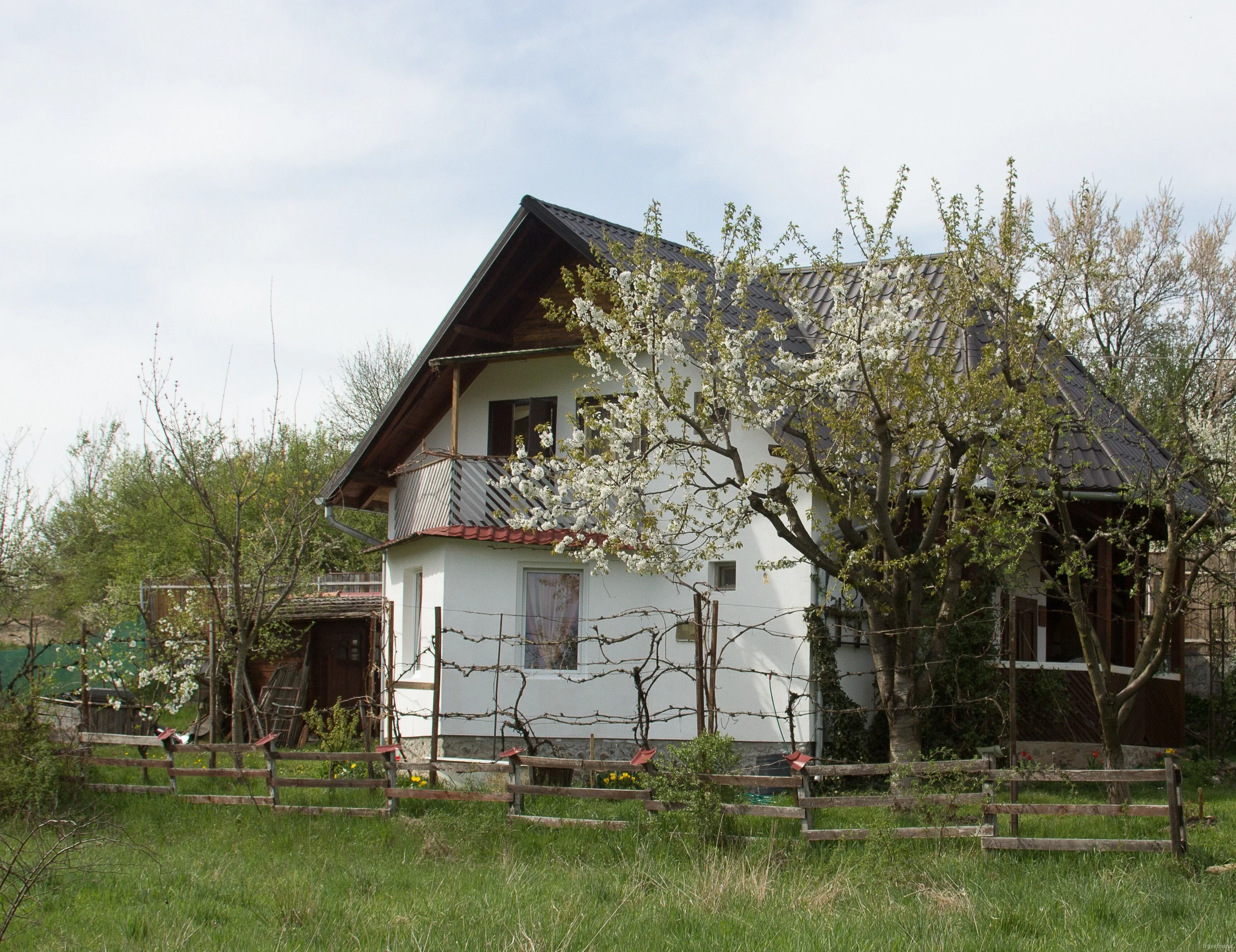 Cabană Cseke Praid - foto 3