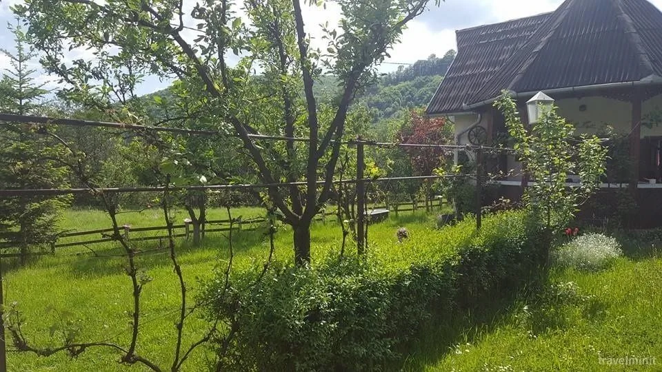 Cabană Cseke Praid - foto 4