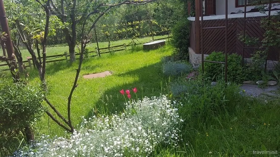 Cabană Cseke Praid - foto 5