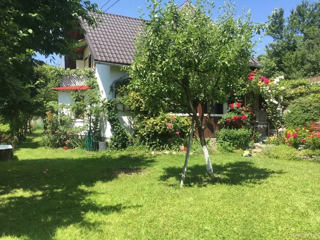 Cabană Cseke Praid - foto 10