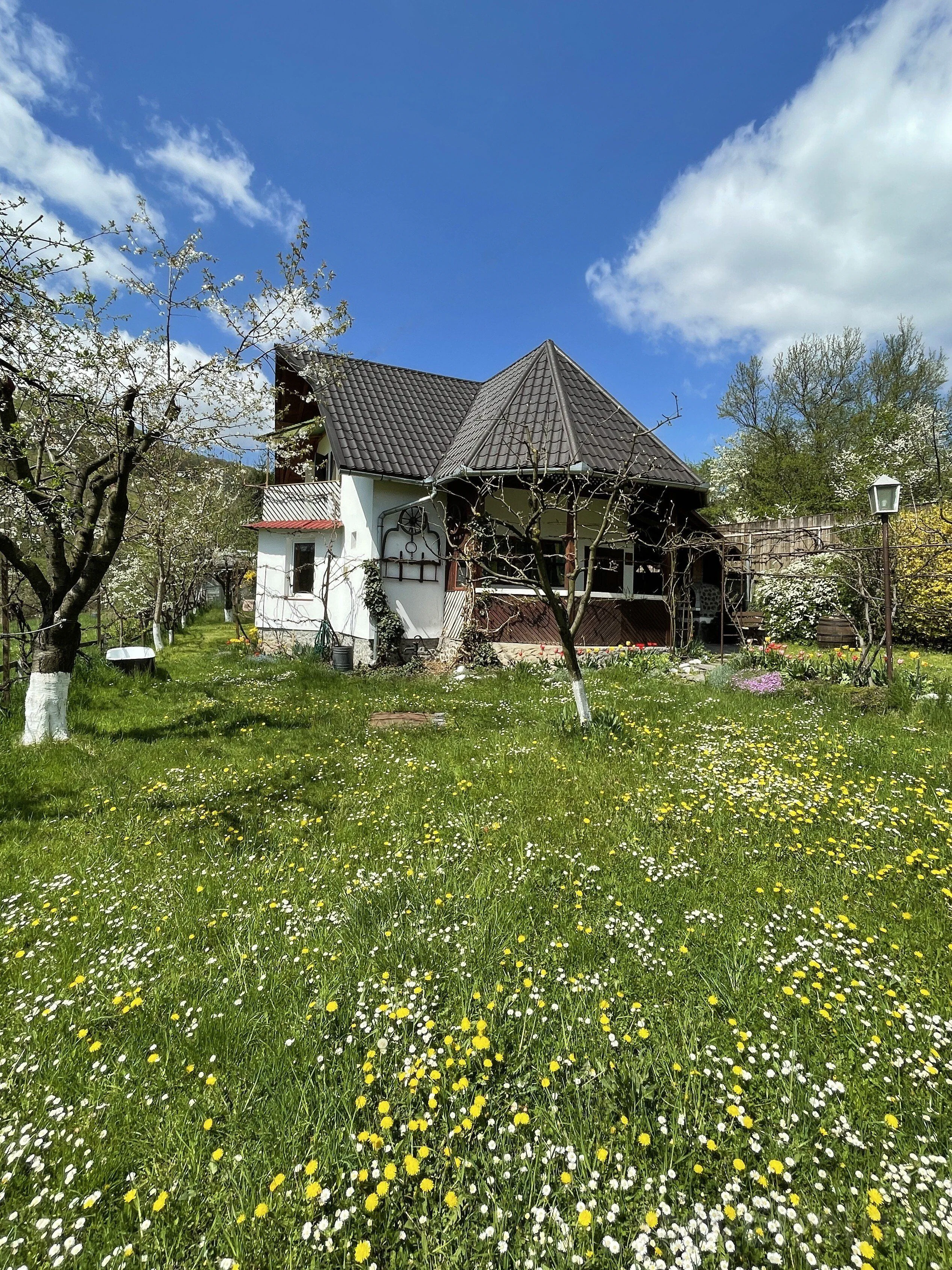 Cabană Cseke Praid - foto 1