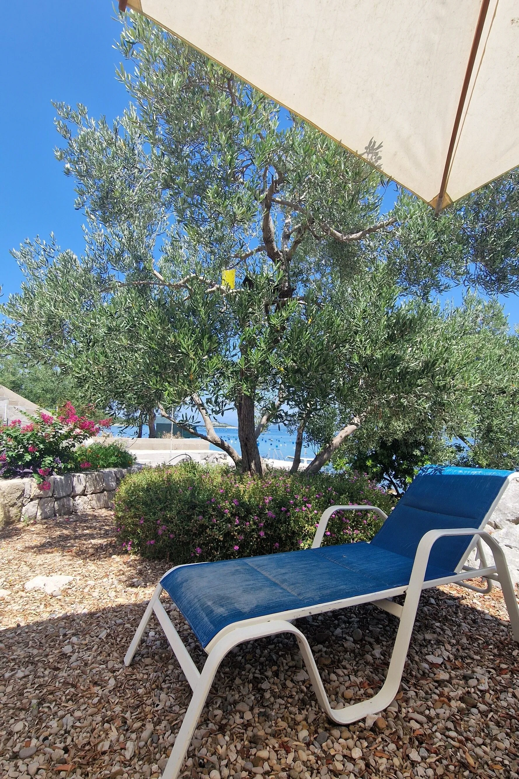 Apartments By The Sea Žuronja, Pelješac - 13202 Žuronja - foto 4