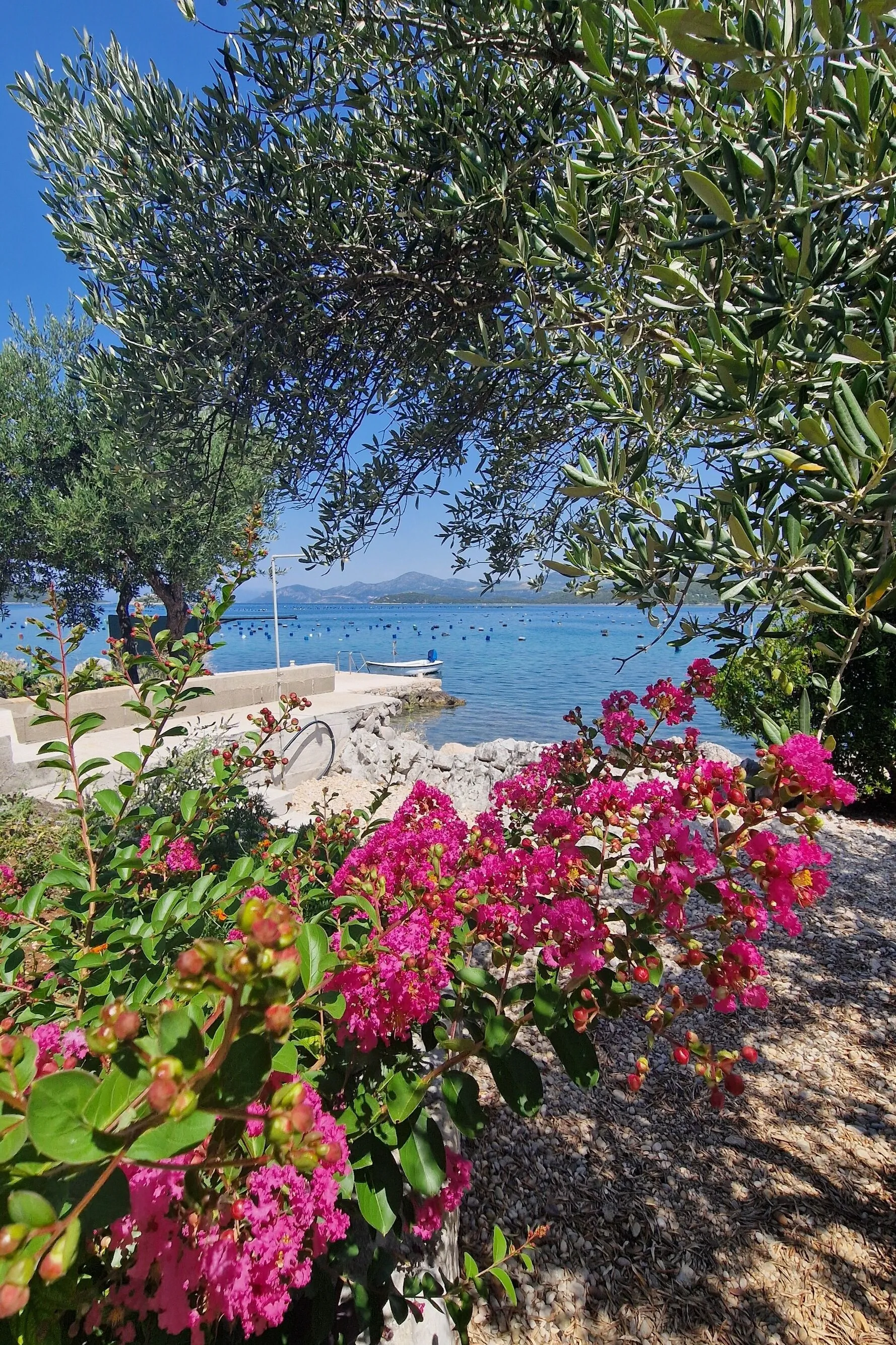 Apartments By The Sea Žuronja, Pelješac - 13202 Žuronja - foto 5
