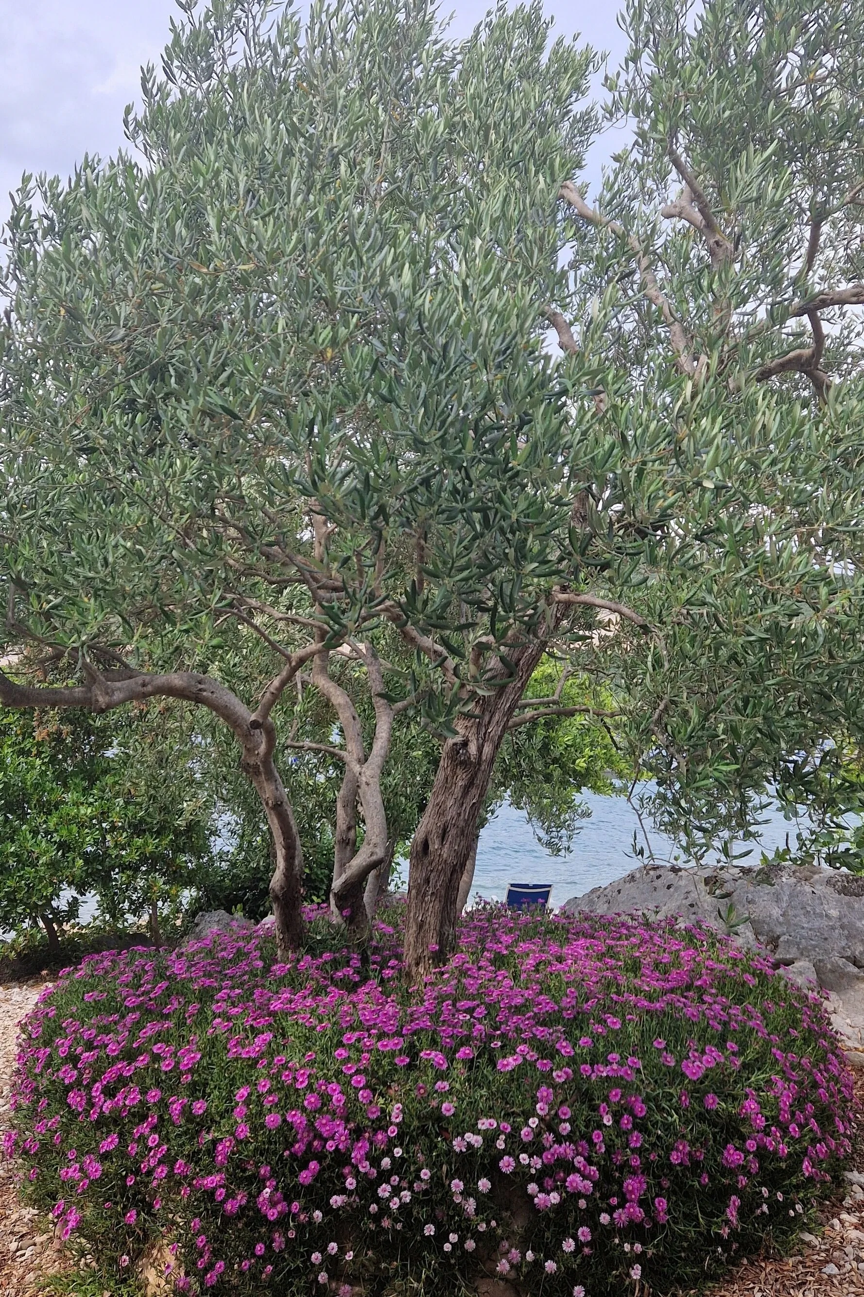Apartments By The Sea Žuronja, Pelješac - 13202 Žuronja - foto 6