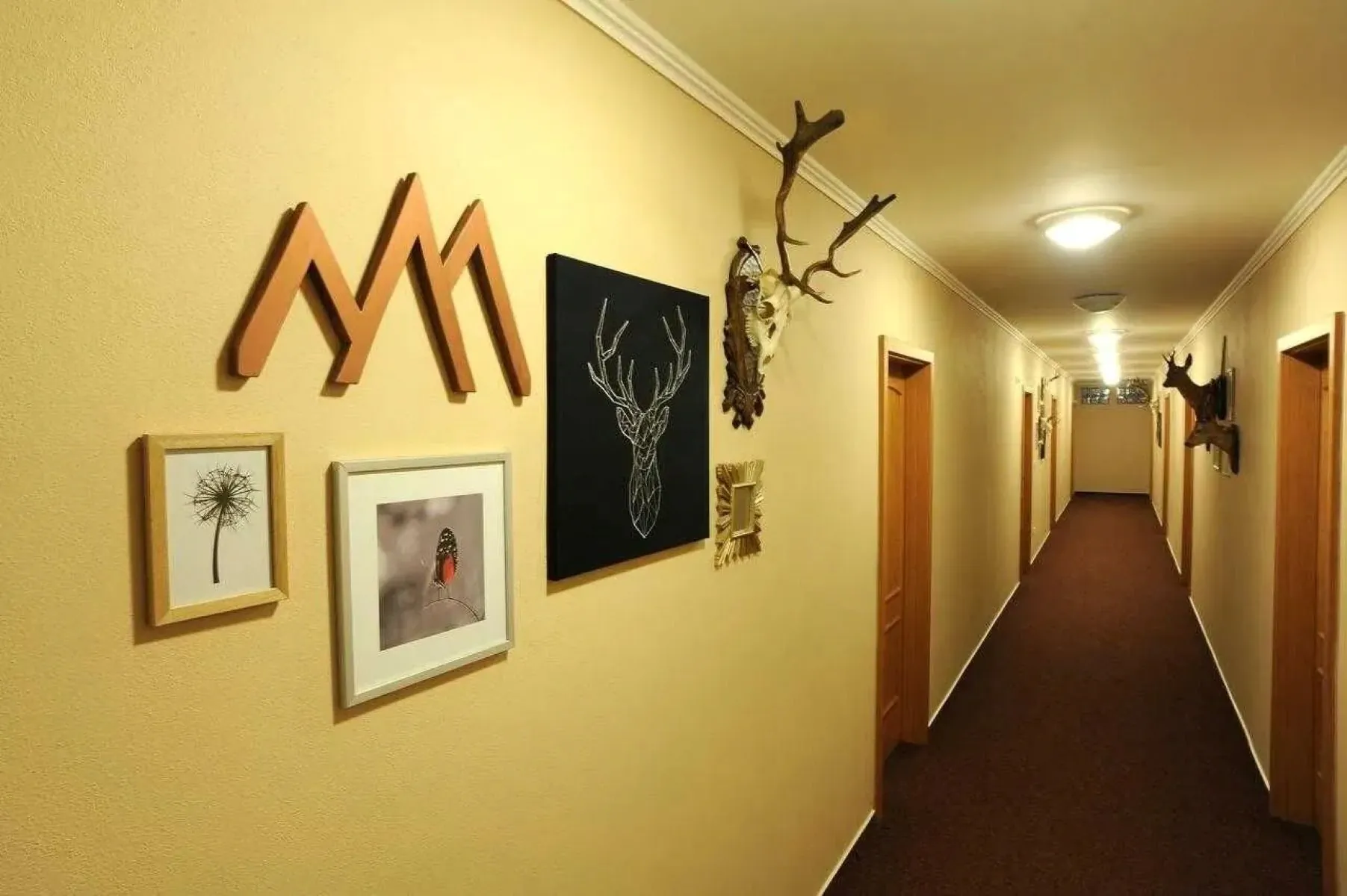 Wellness penzion Jarmilka Bedřichov – Bedřichov, Republica Cehă