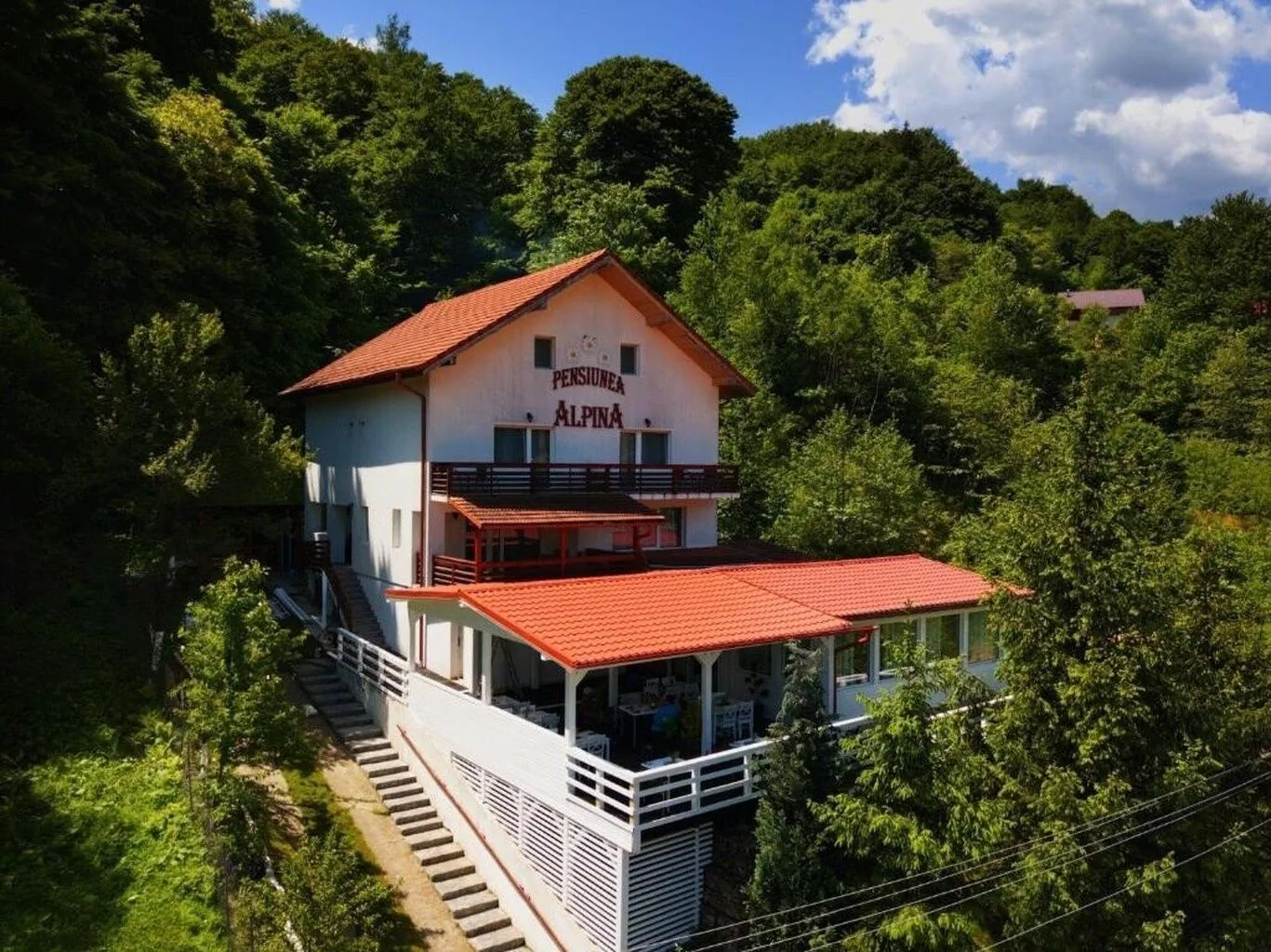 Pensiunea Alpina® Mălaia – Malaia, România