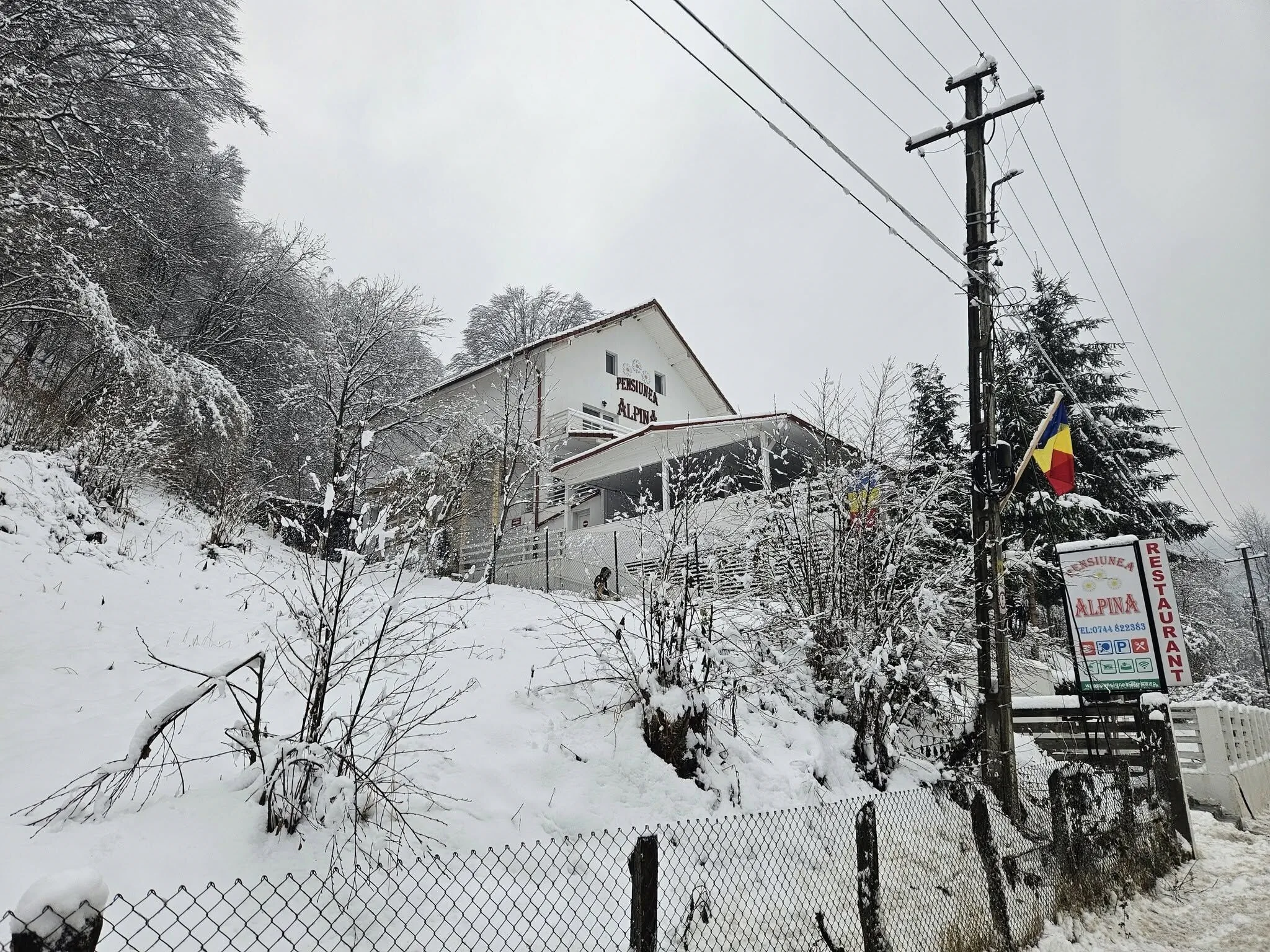Pensiunea Alpina® Mălaia – Malaia, România