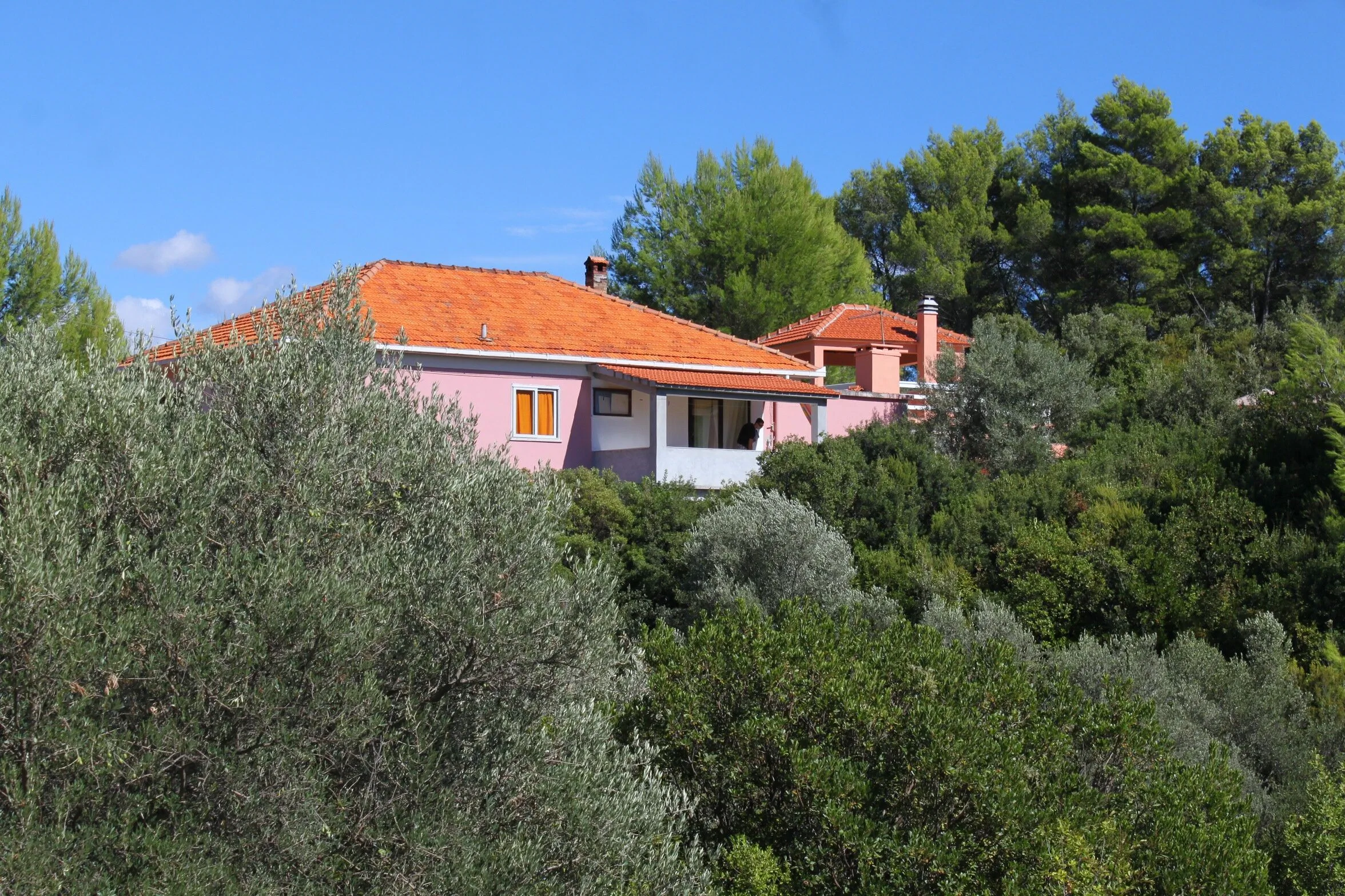 Family-friendly Apartments With Swimming Pool Smokvica, Korčula - 9161 Smokvica - foto 4
