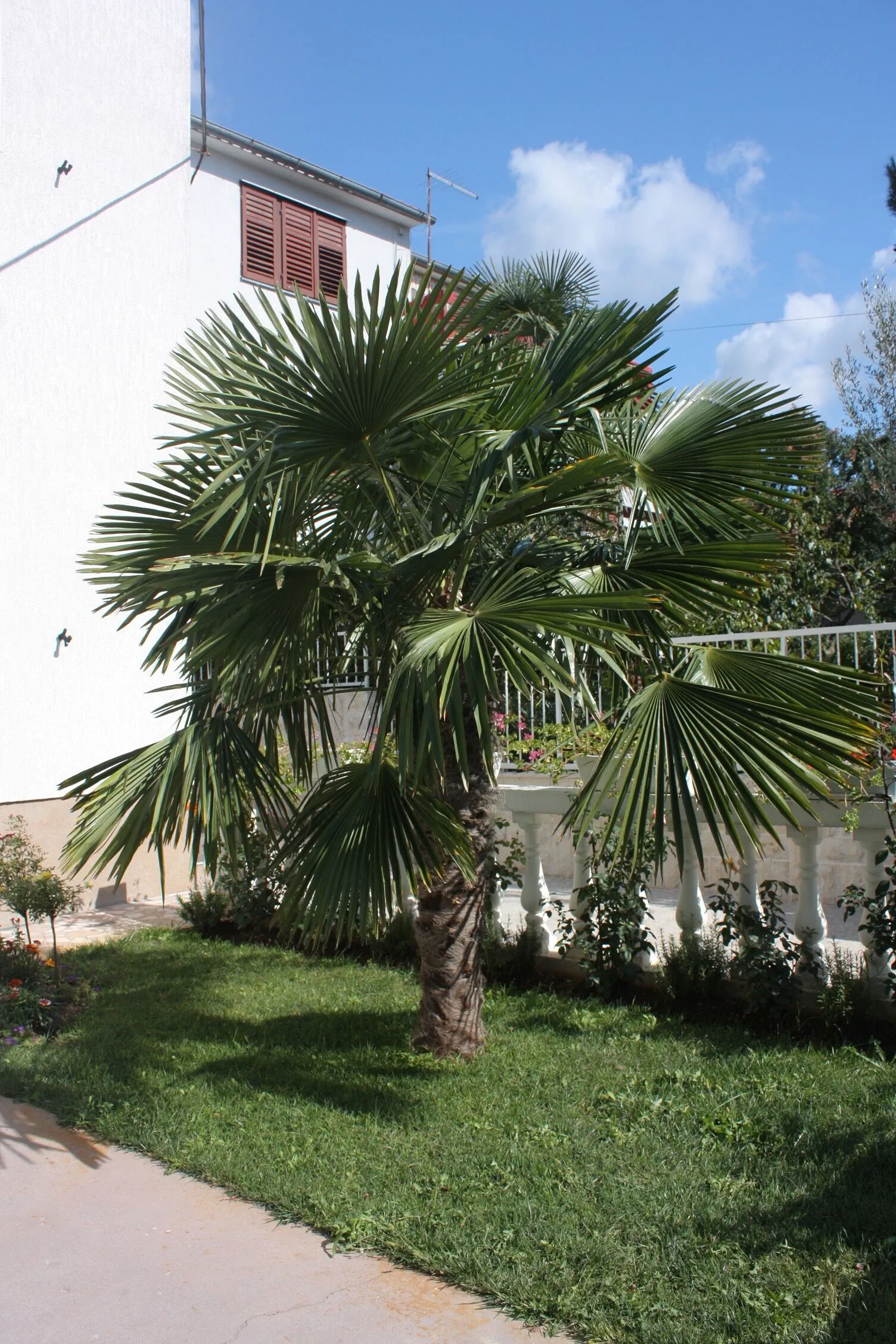 Apartments With Parking Space Vodice - 2995 - foto 5