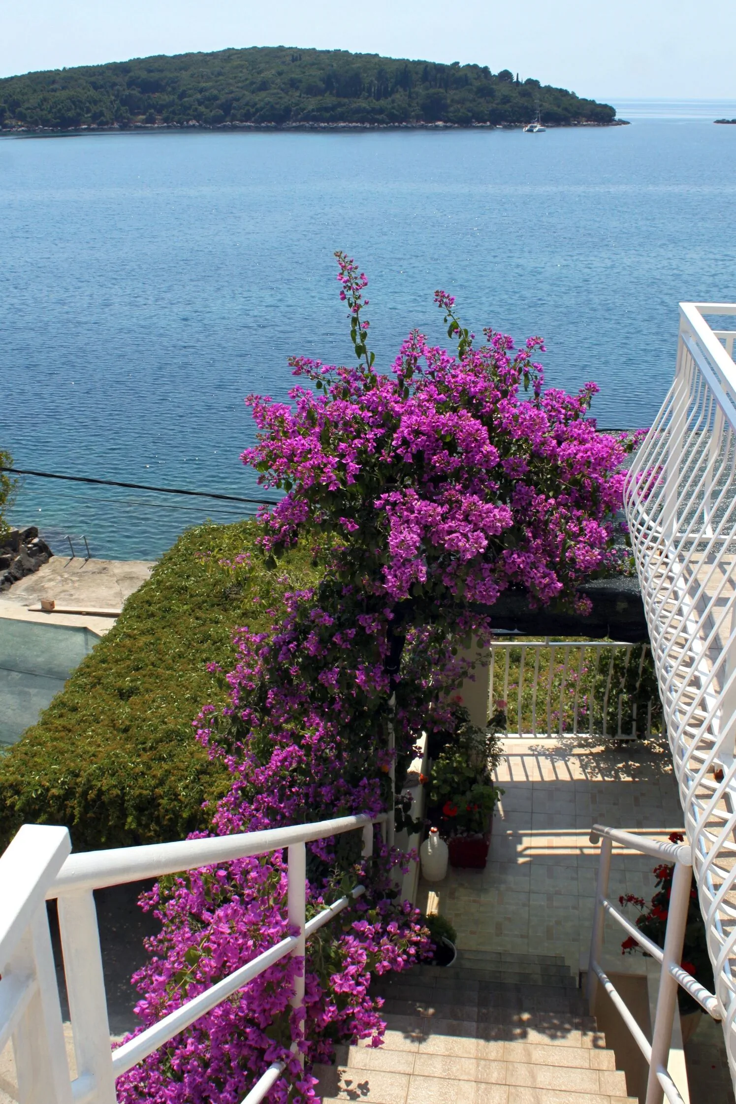 Apartments By The Sea Molunat, Dubrovnik - 2137 Molunat – Molunat, Croația