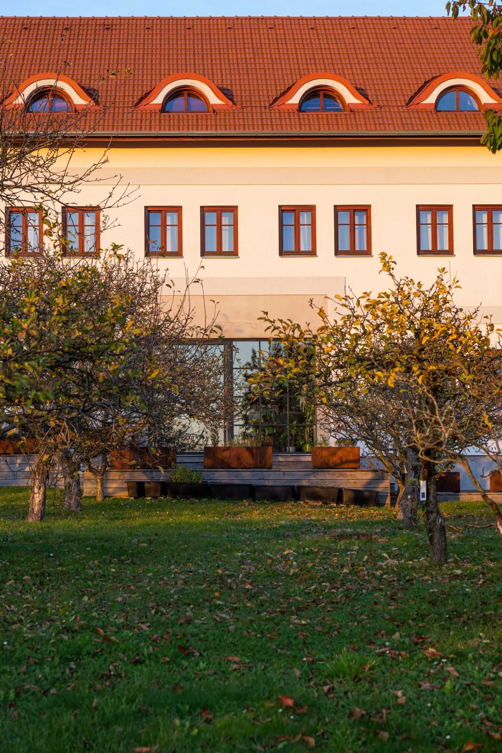 Hotel Grunt Kosmonosy - foto 6