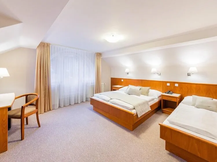 Hotel Sněžka Špindlerův Mlýn – Špindlerův Mlýn, Republica Cehă