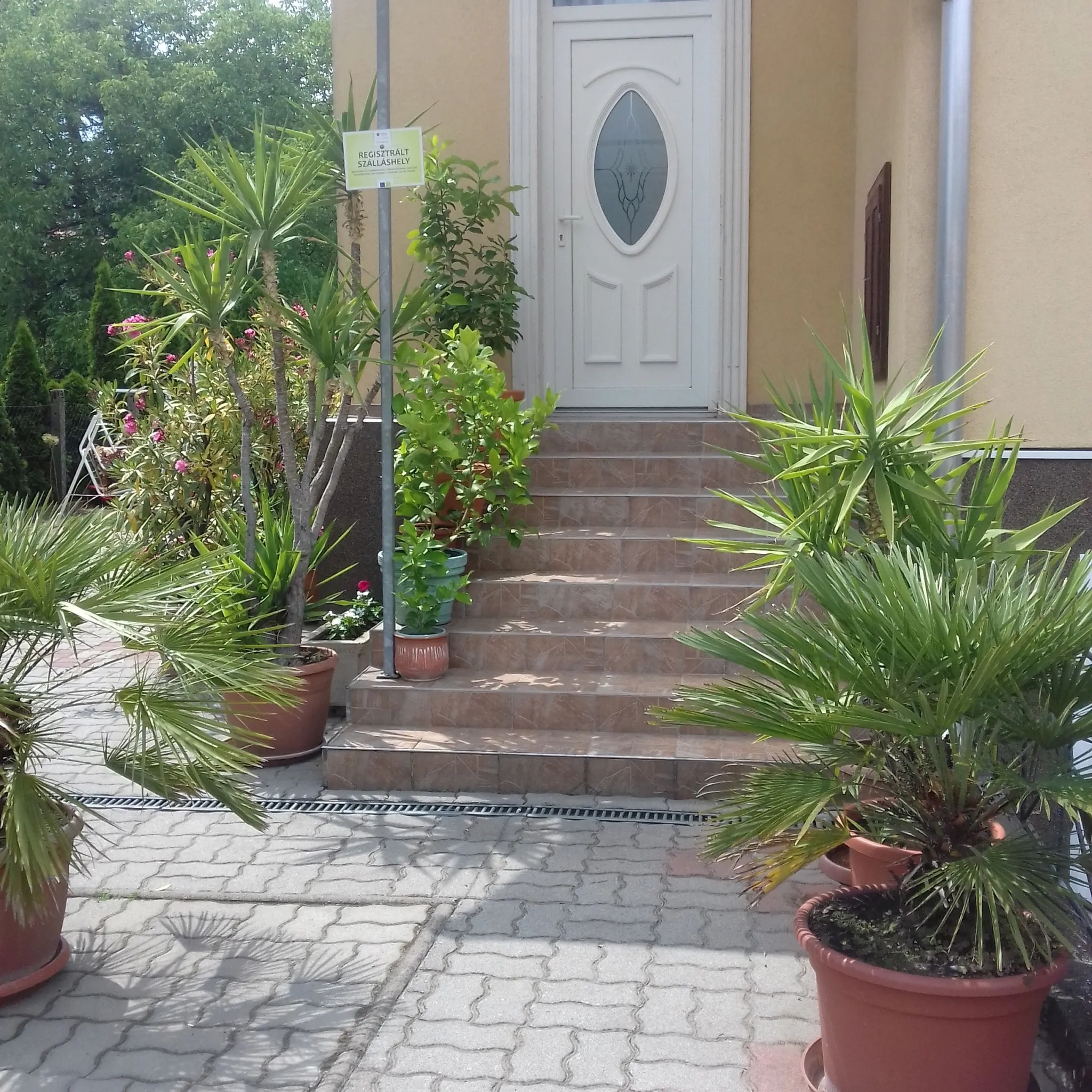 Harmatcsepp Apartmanház Nyíregyháza-Sóstófürdő - foto 3